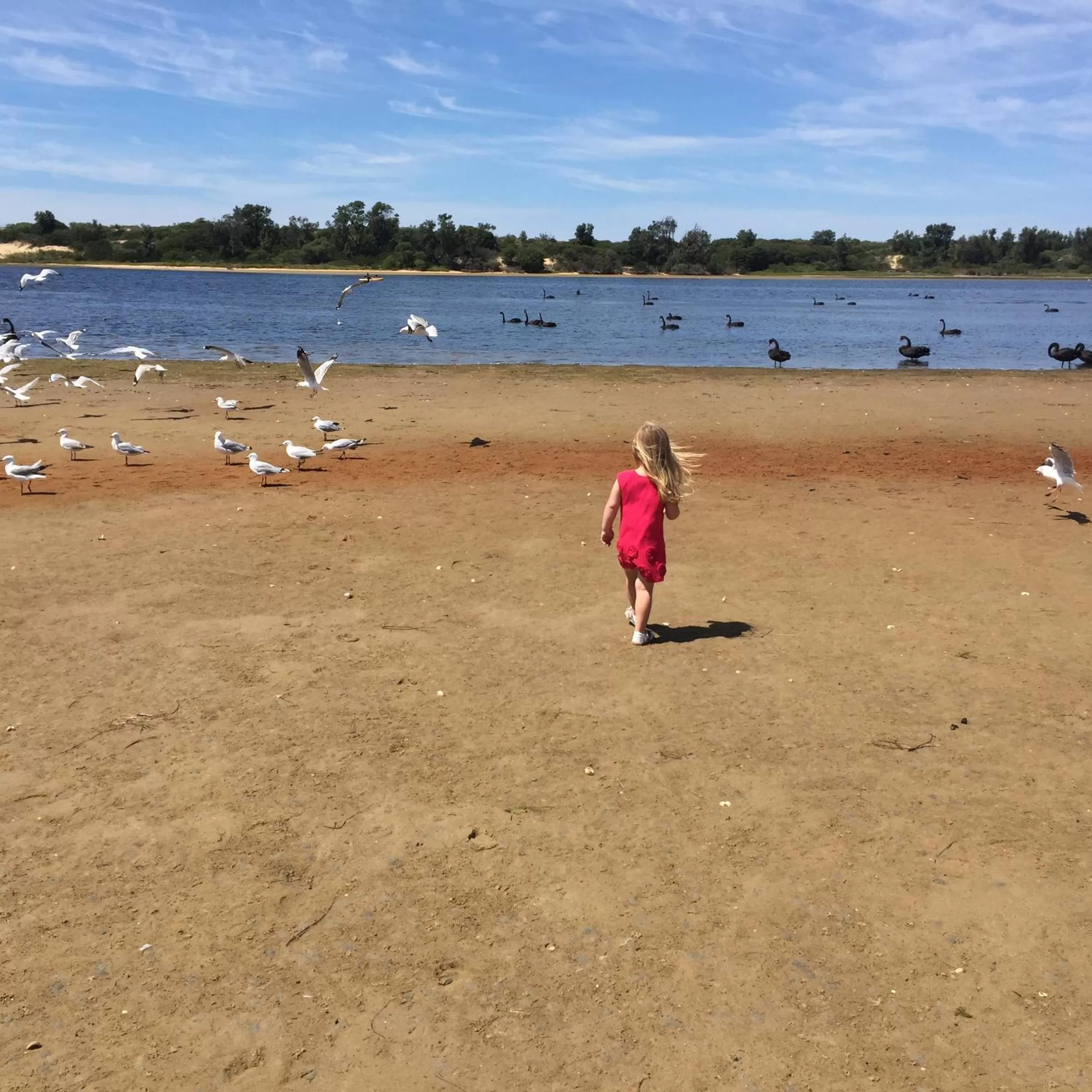 Fishing in Abel Tasman Waterfront Motel