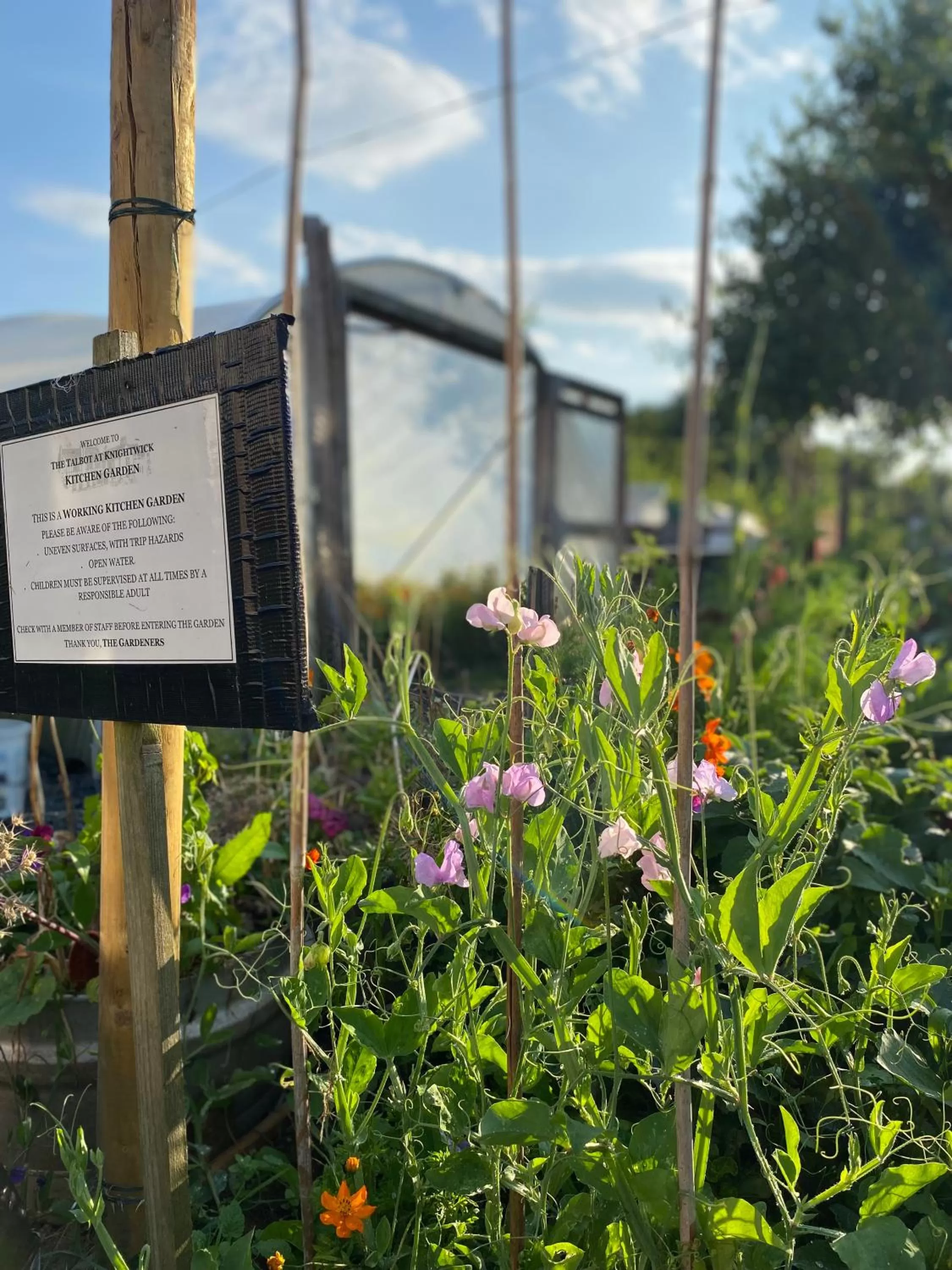 The Talbot at Knightwick