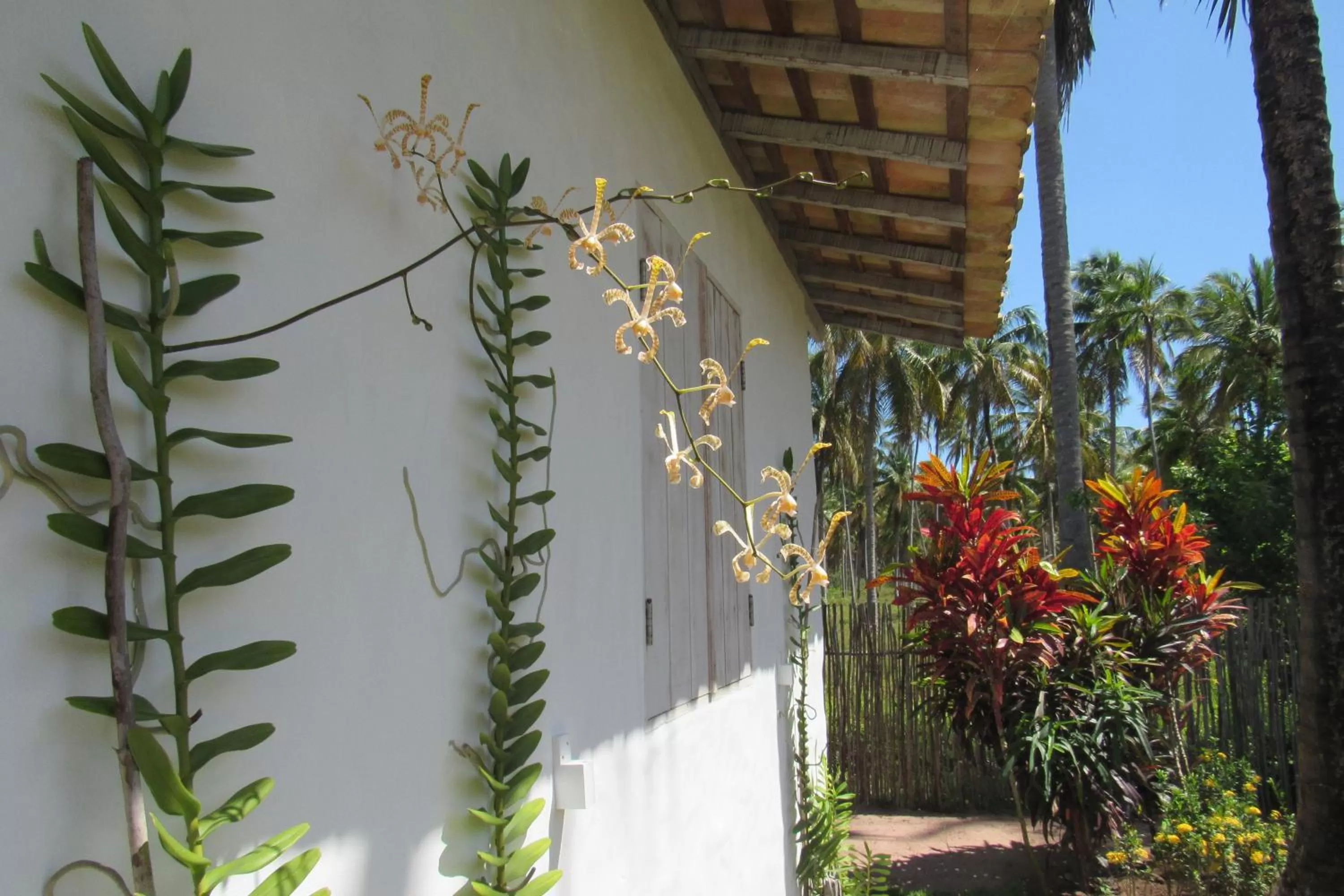 Garden in Pousada Villages Boutique Hotel