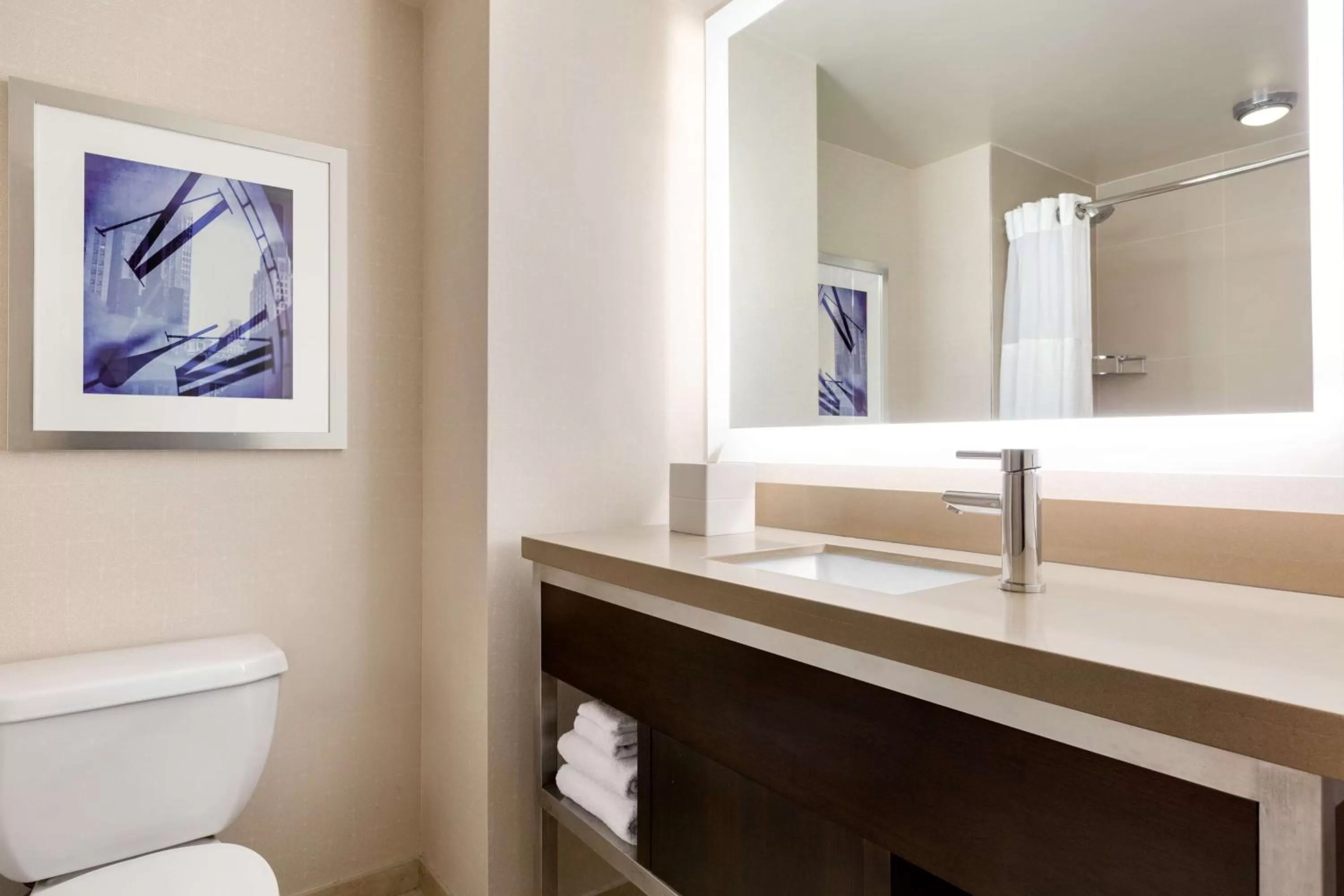 Bathroom in Hilton New York Times Square