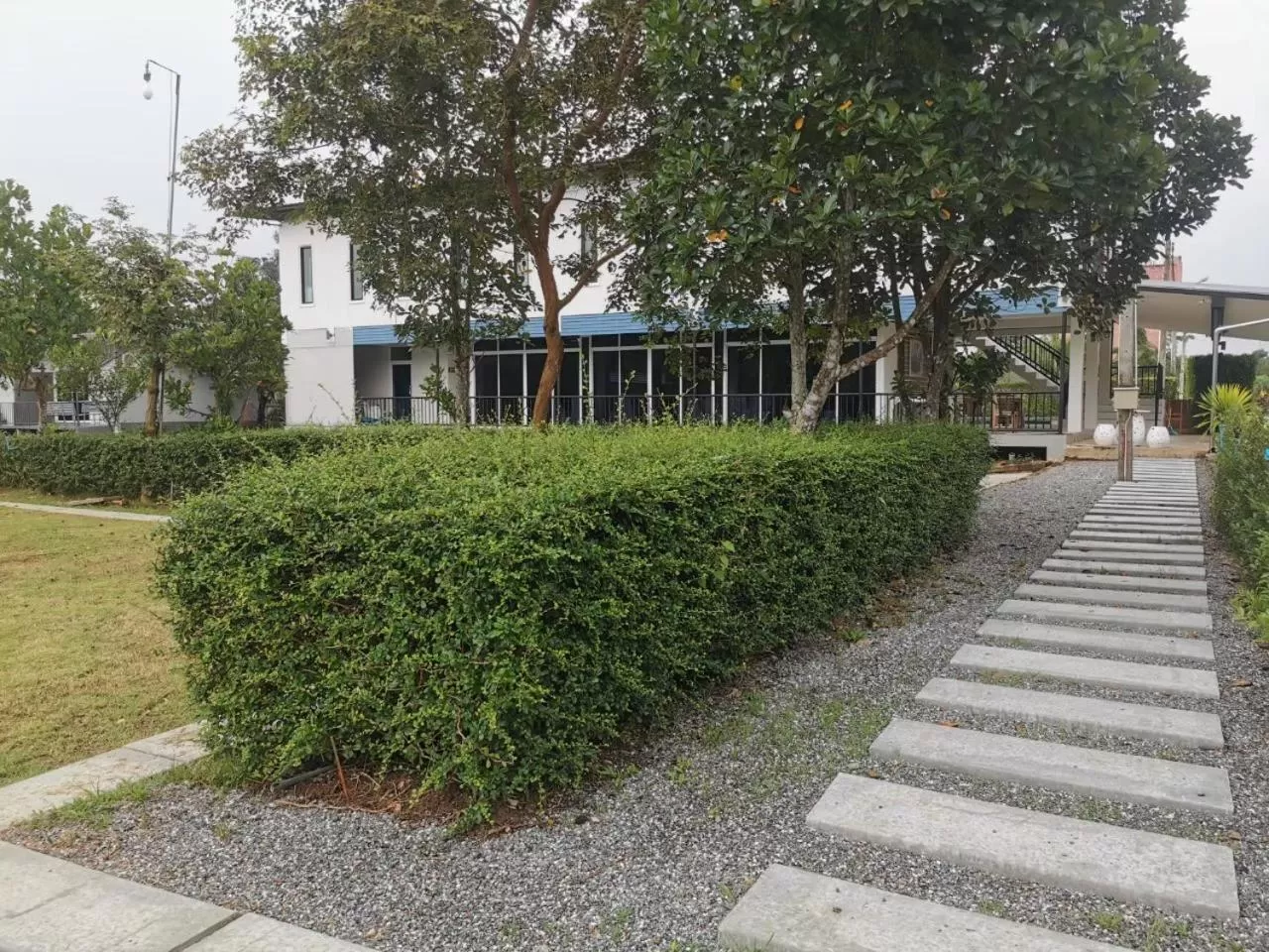 แกรนด์ ฟอเรสท์ Grand Forest