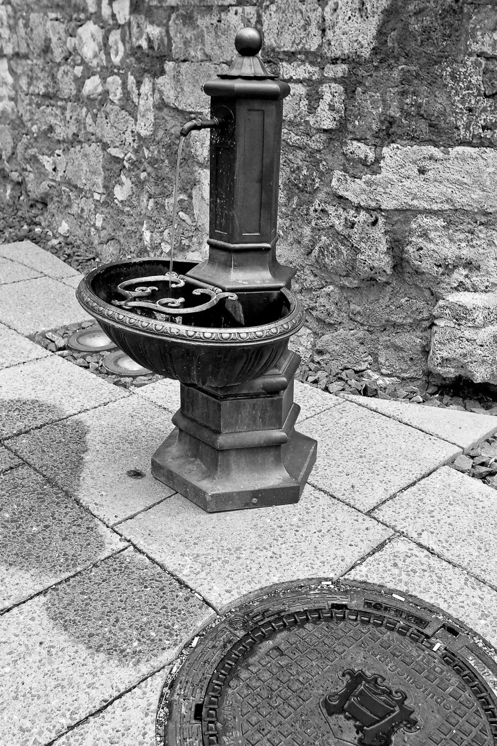 Area and facilities in Hotel Gisela