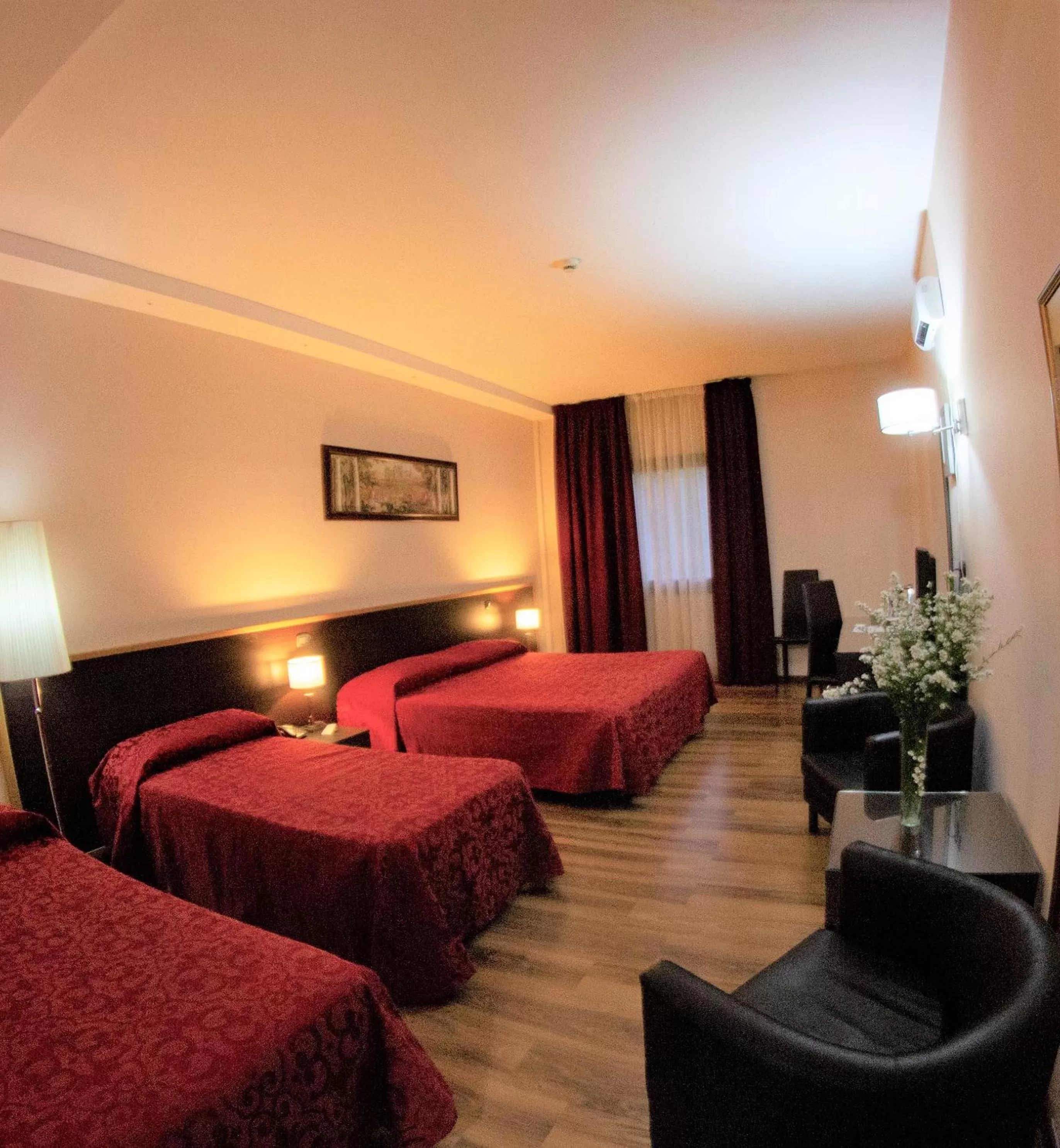 Pets, Bed in Forum Palace Hotel