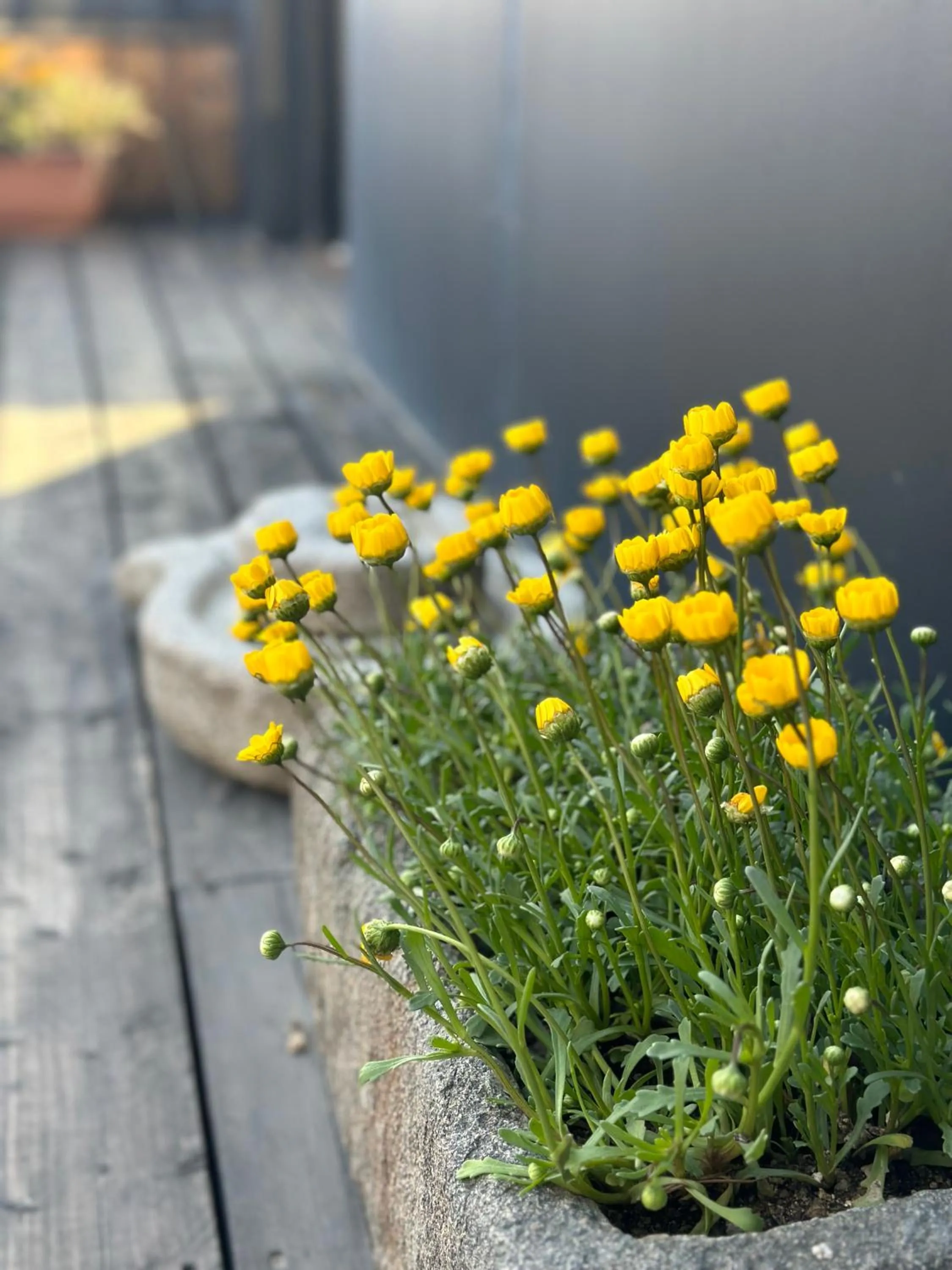 Mipo Oceanside Hotel