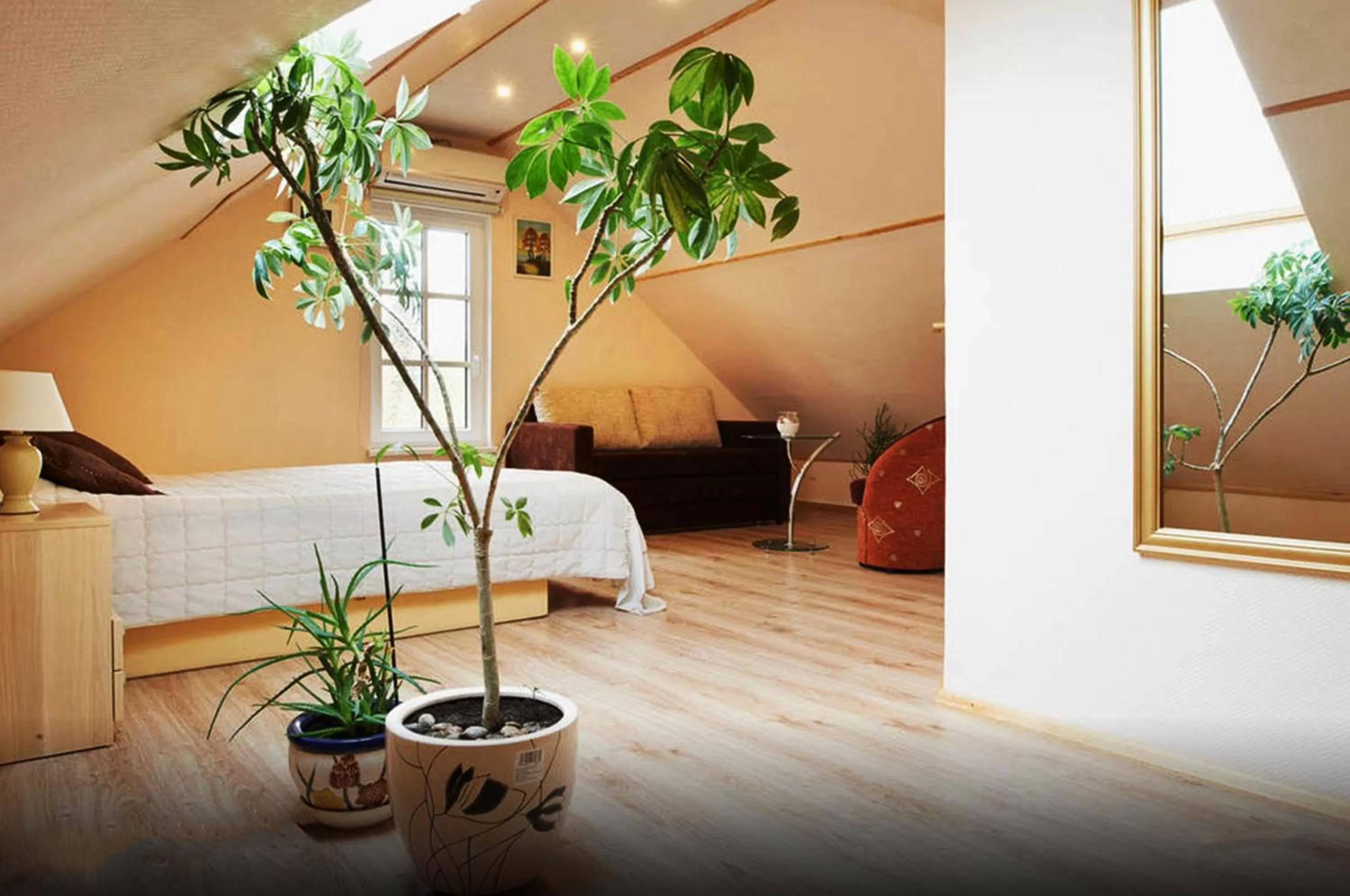 Photo of the whole room in "Trakaitis" nameliai