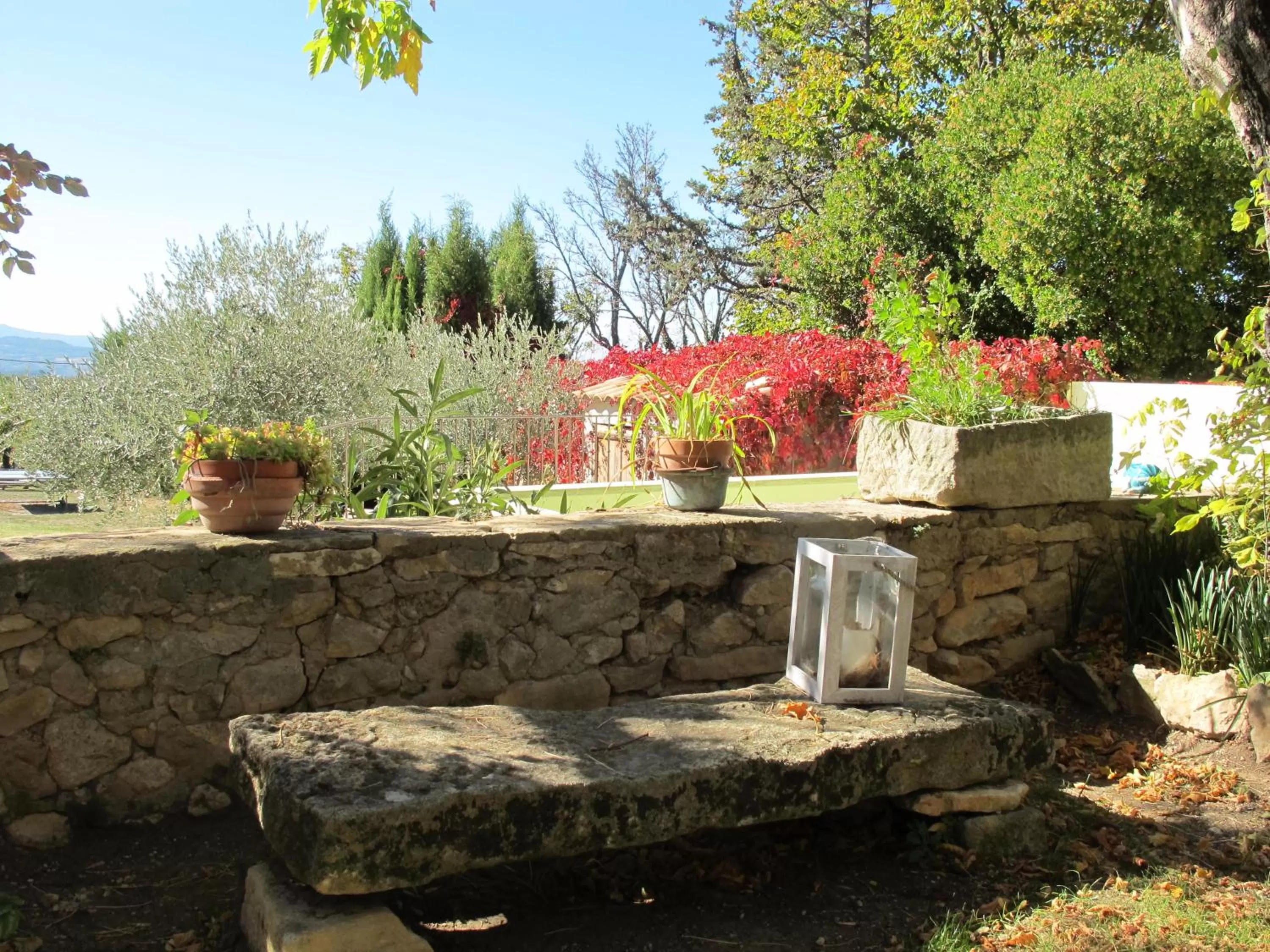 Property building in Lou Cardalines