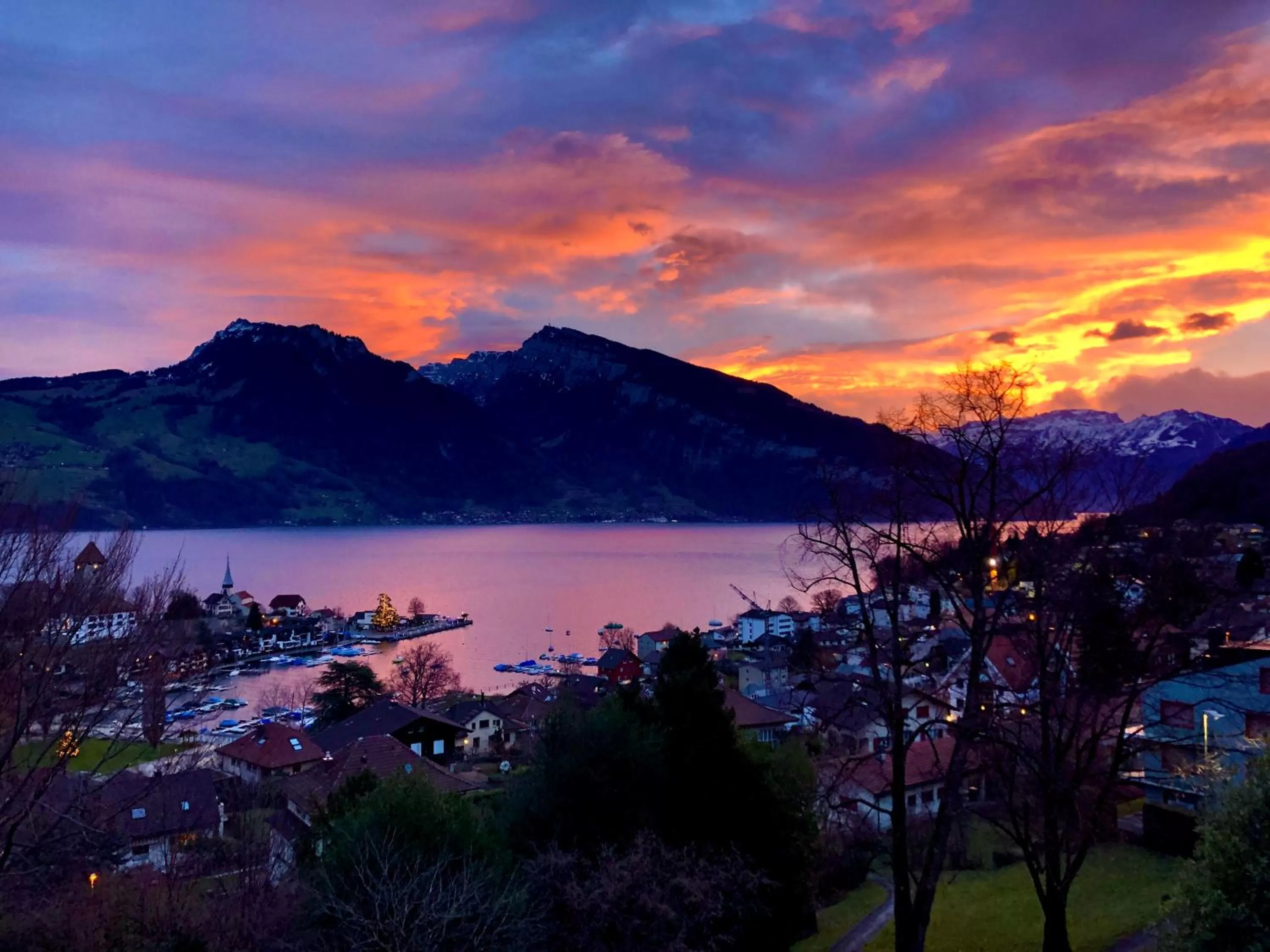 Natural landscape in Hotel Movieworld