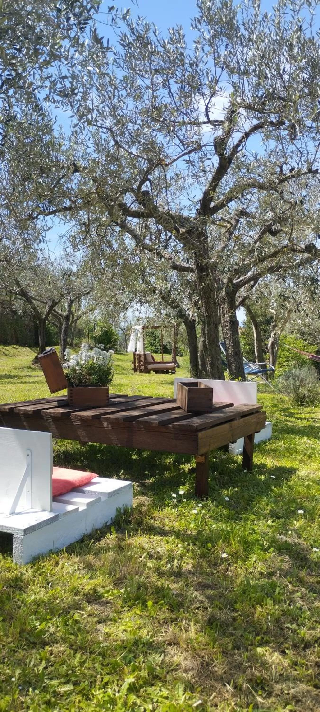 Garden in La Casa Tra Gli Ulivi