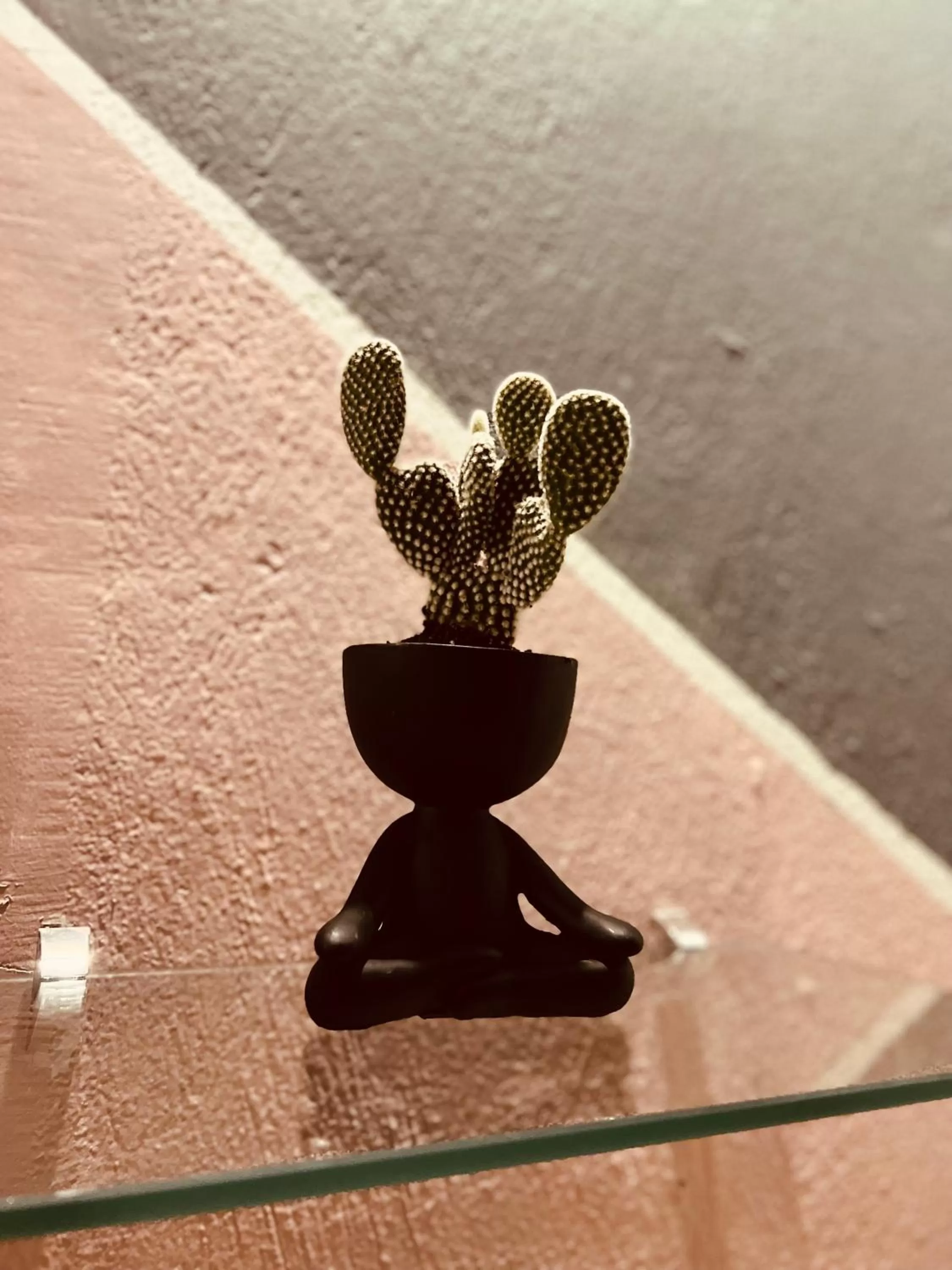 Hotel Adventure Lodge