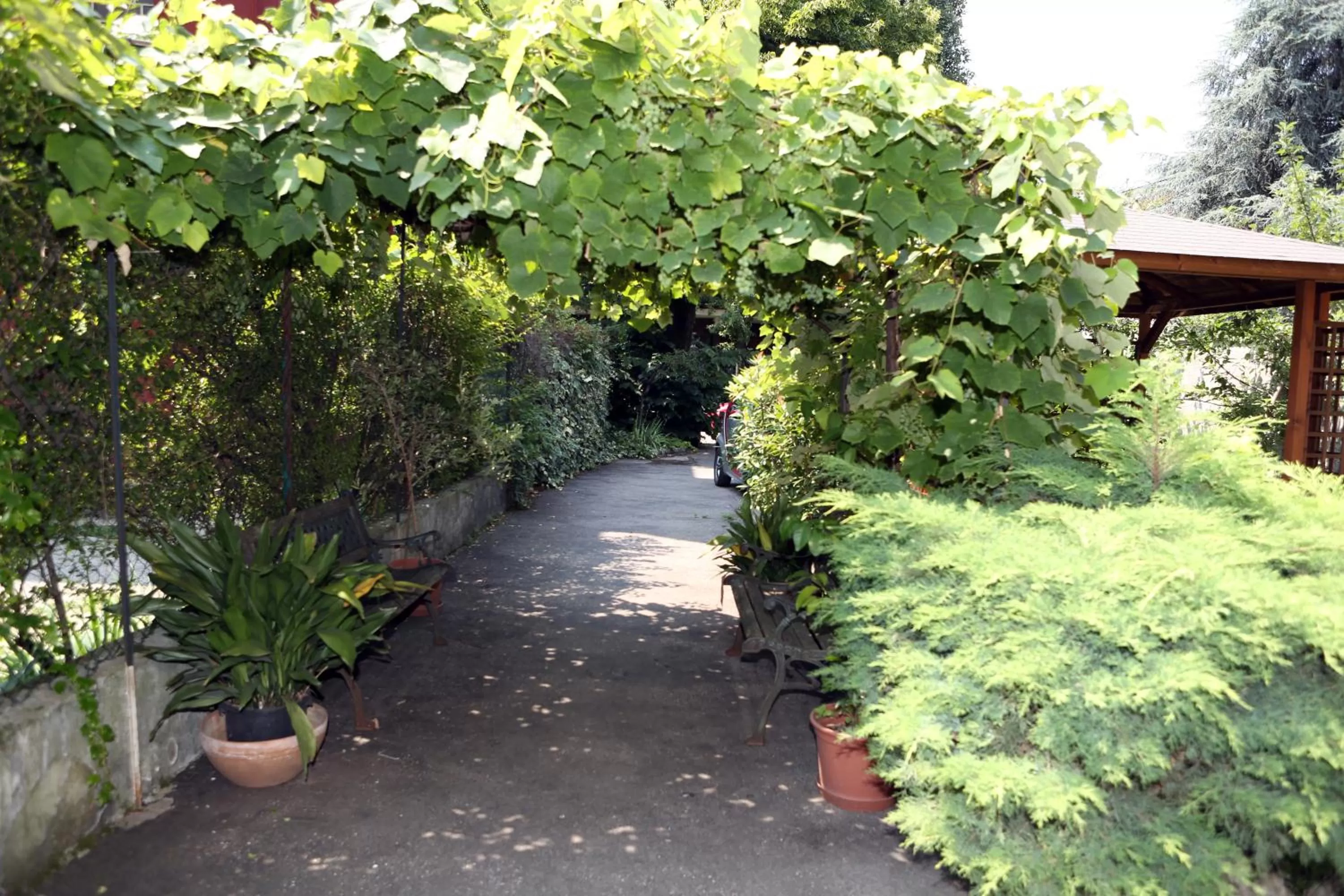 Garden in Hotel Bicocca