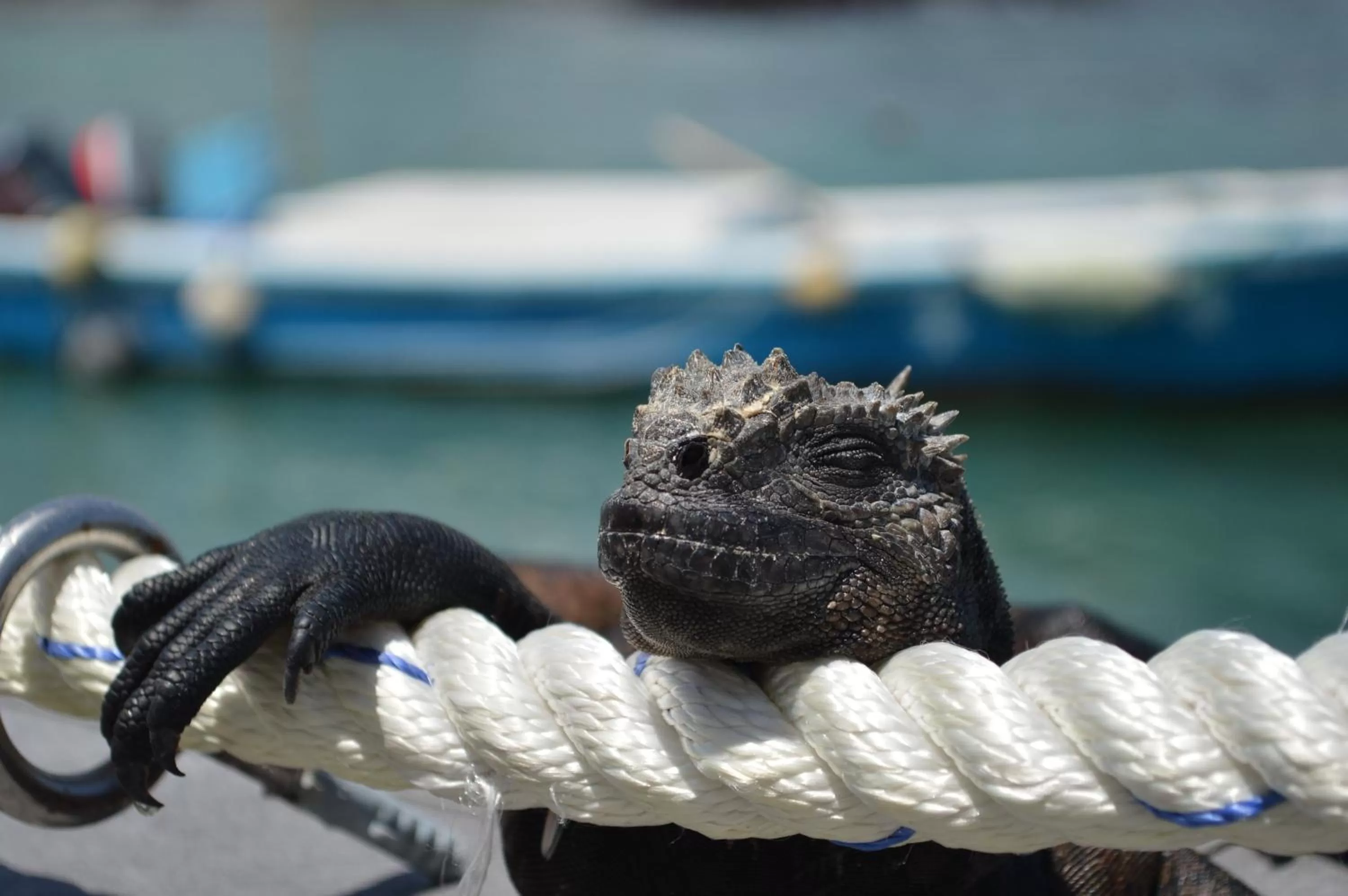 Facade/entrance in Hotel Solymar
