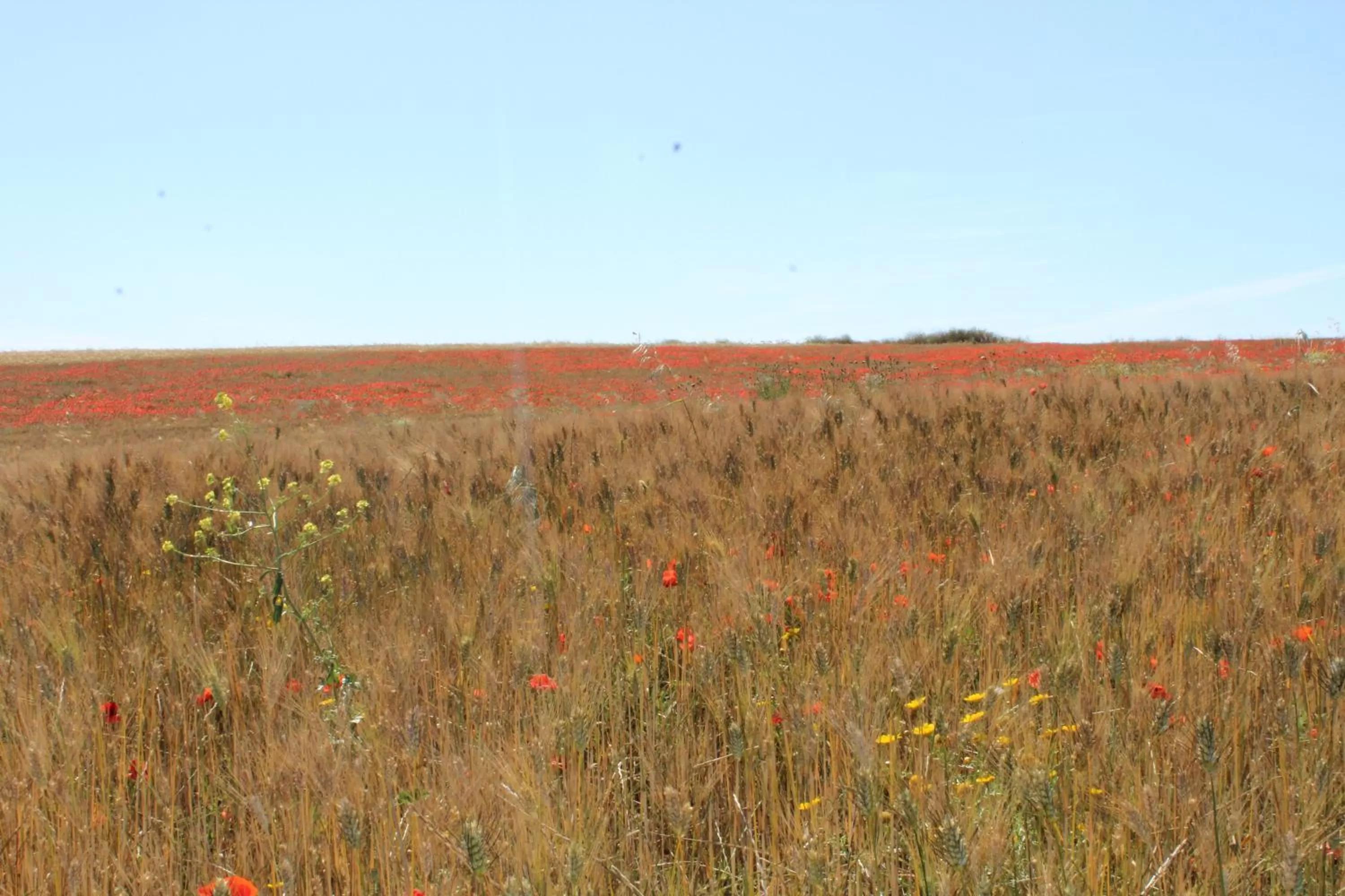 Natural Landscape in Bed & Breakfast Paui