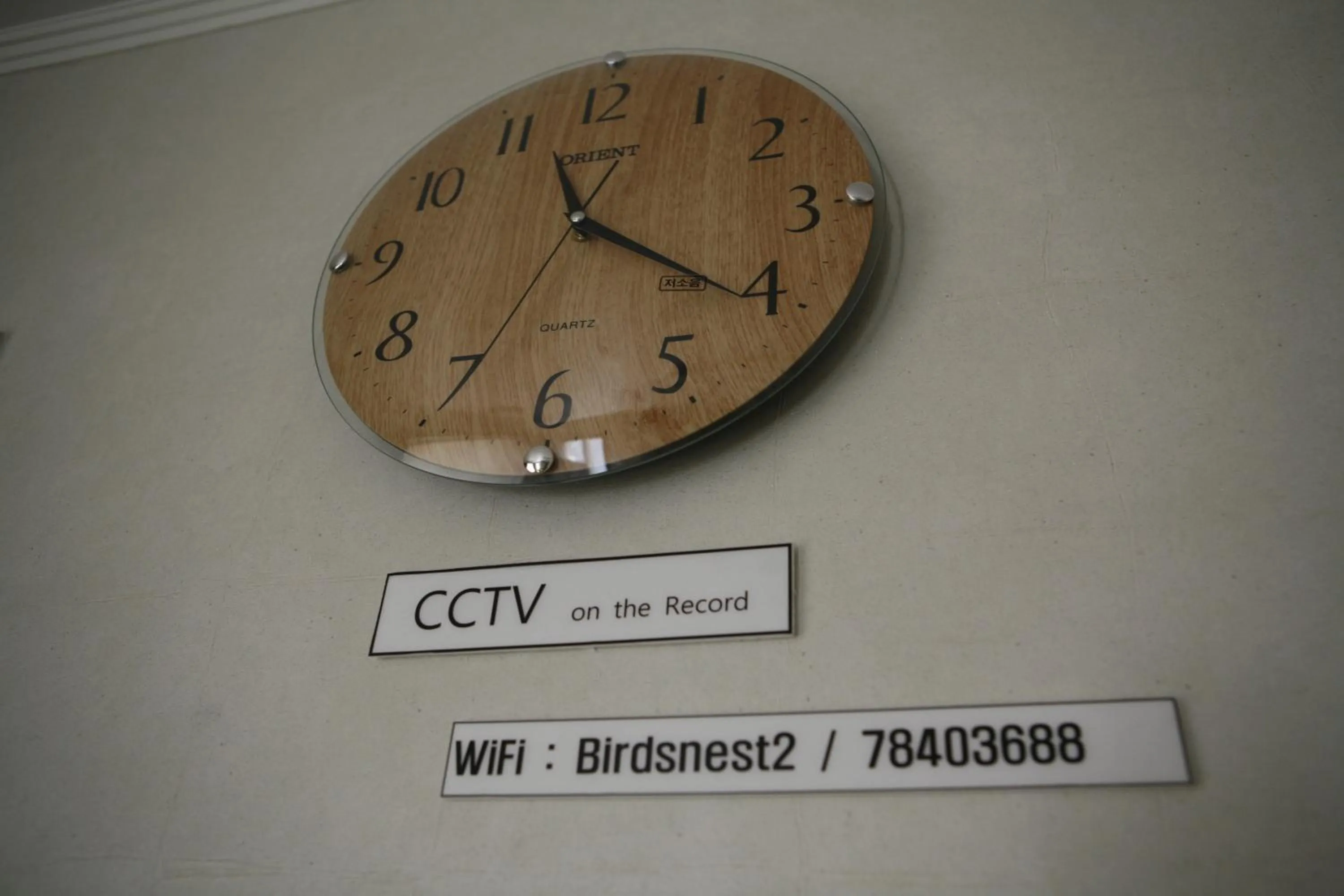 Communal lounge/ TV room in Birdsnest Hostel Hongdae Foreigner only