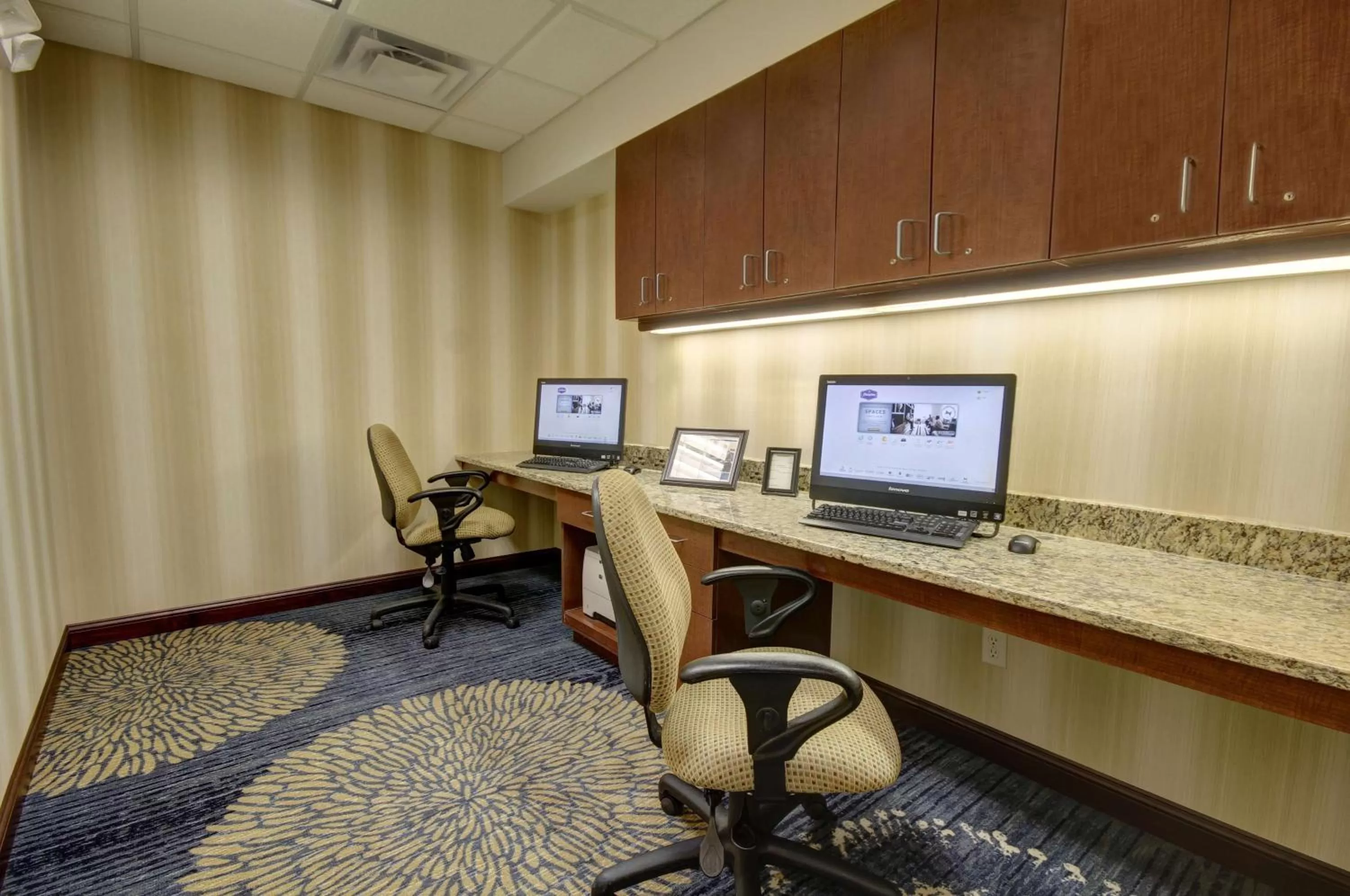 Business facilities in Hampton Inn and Suites Alexandria