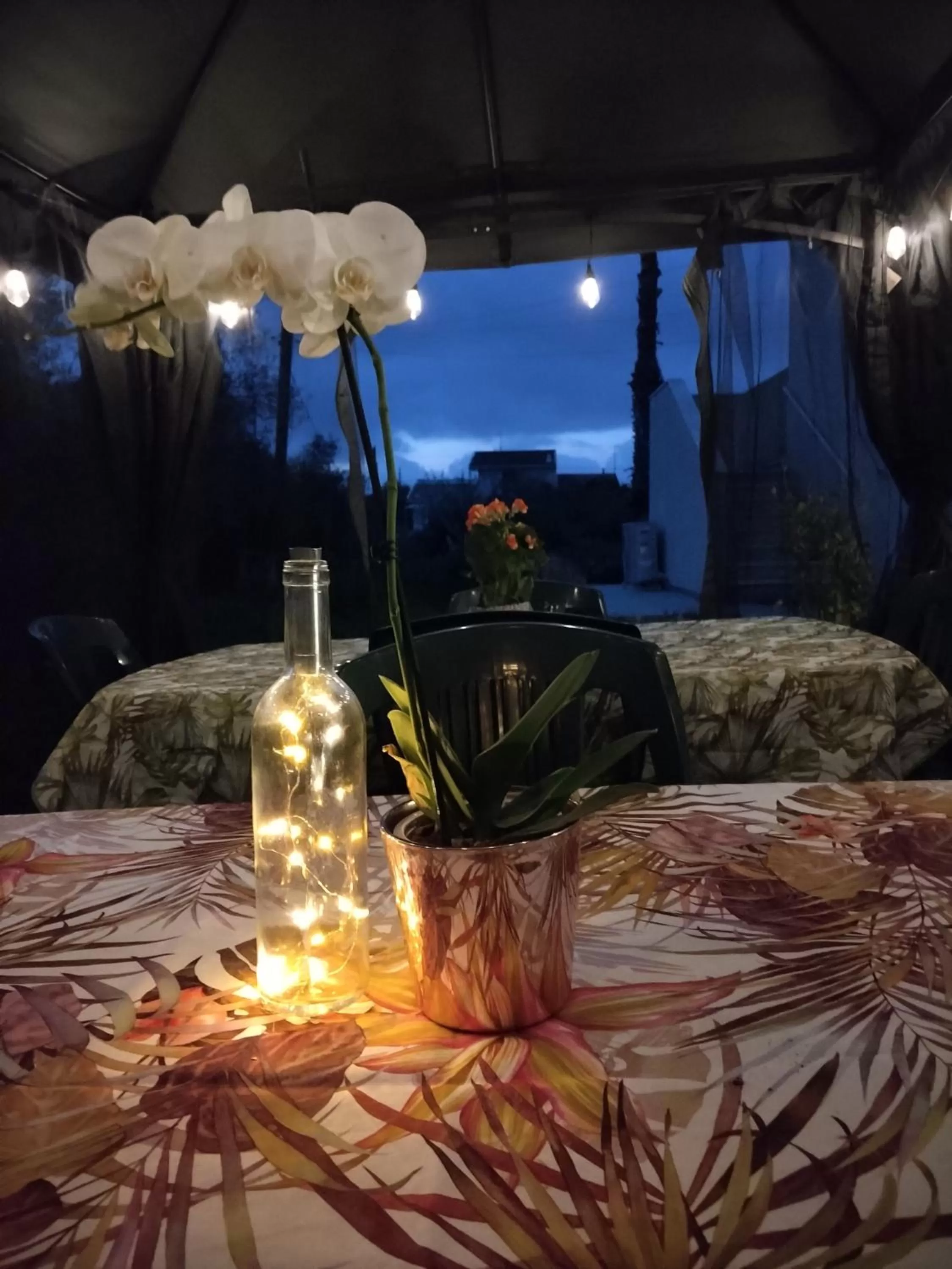 Patio in Alghero in bicicletta