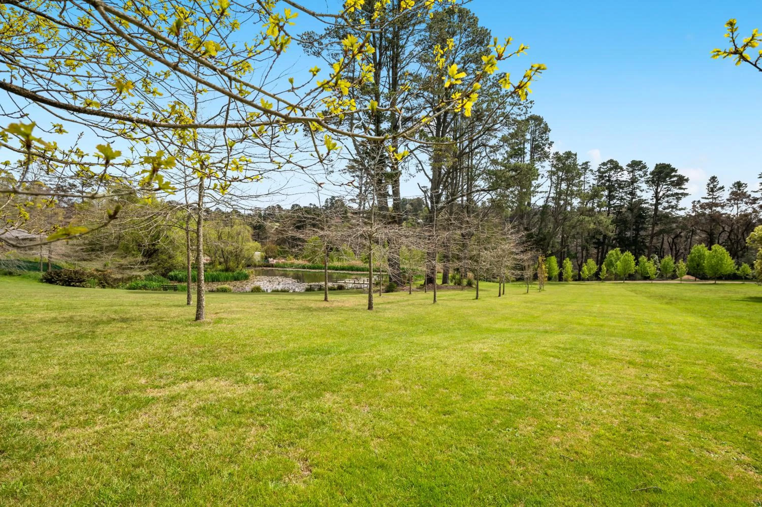 Natural landscape in Parklands Country Gardens & Lodges Blue Mountains