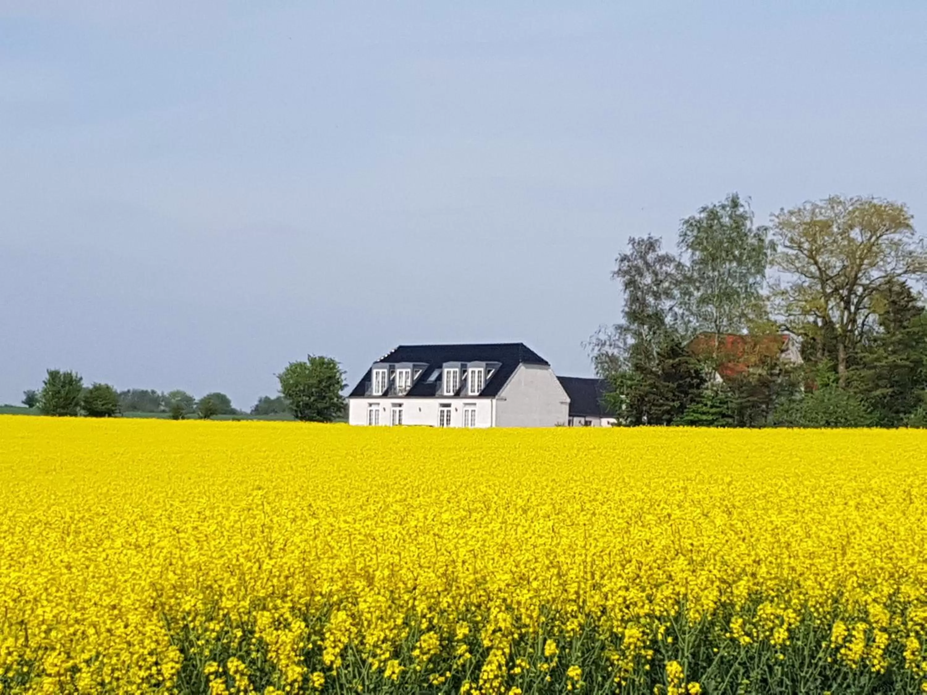 Bird's eye view in Roskilde B&B