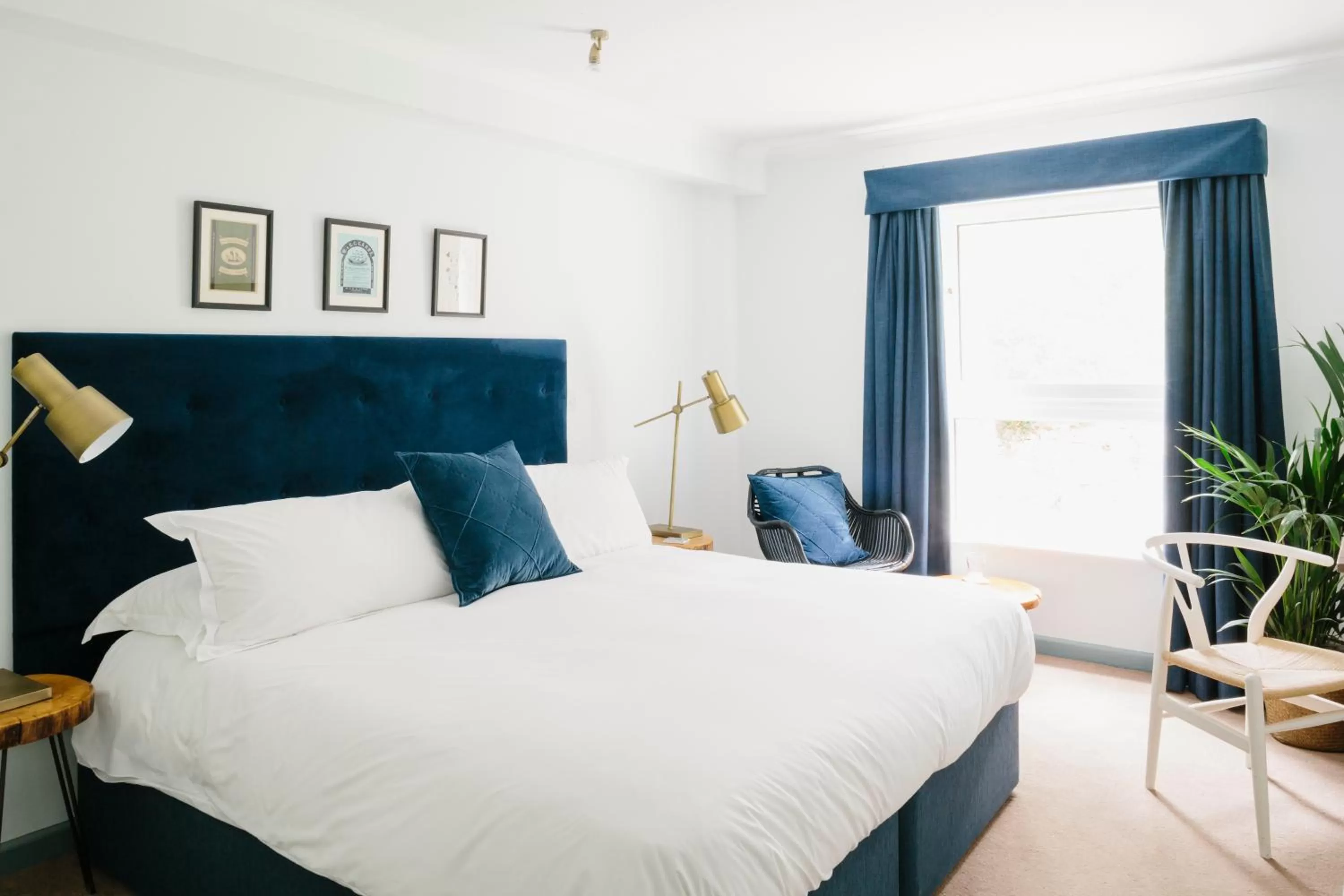 Pets, Bed in Merchants Manor Spa