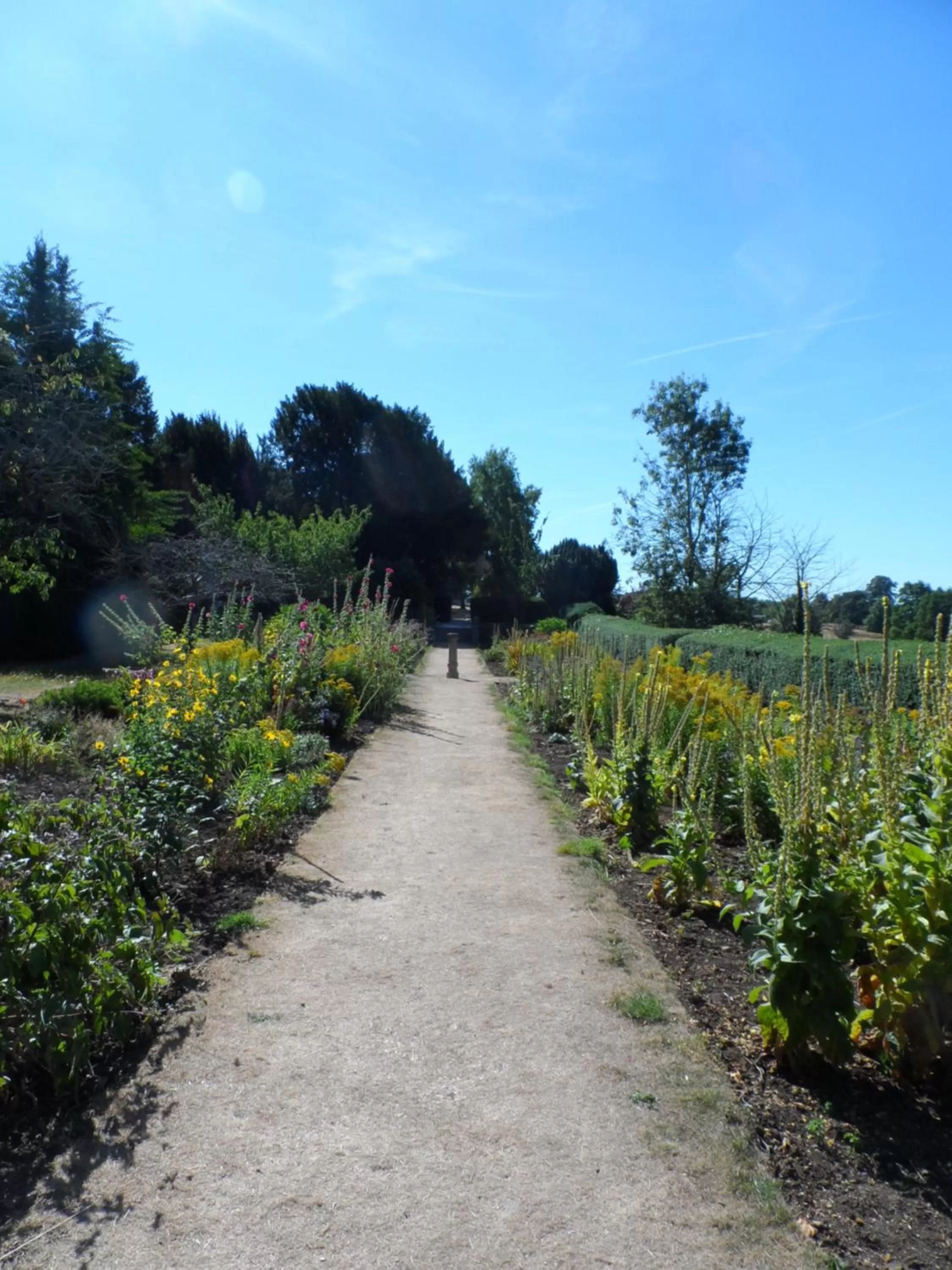 Garden in Stanton House Hotel