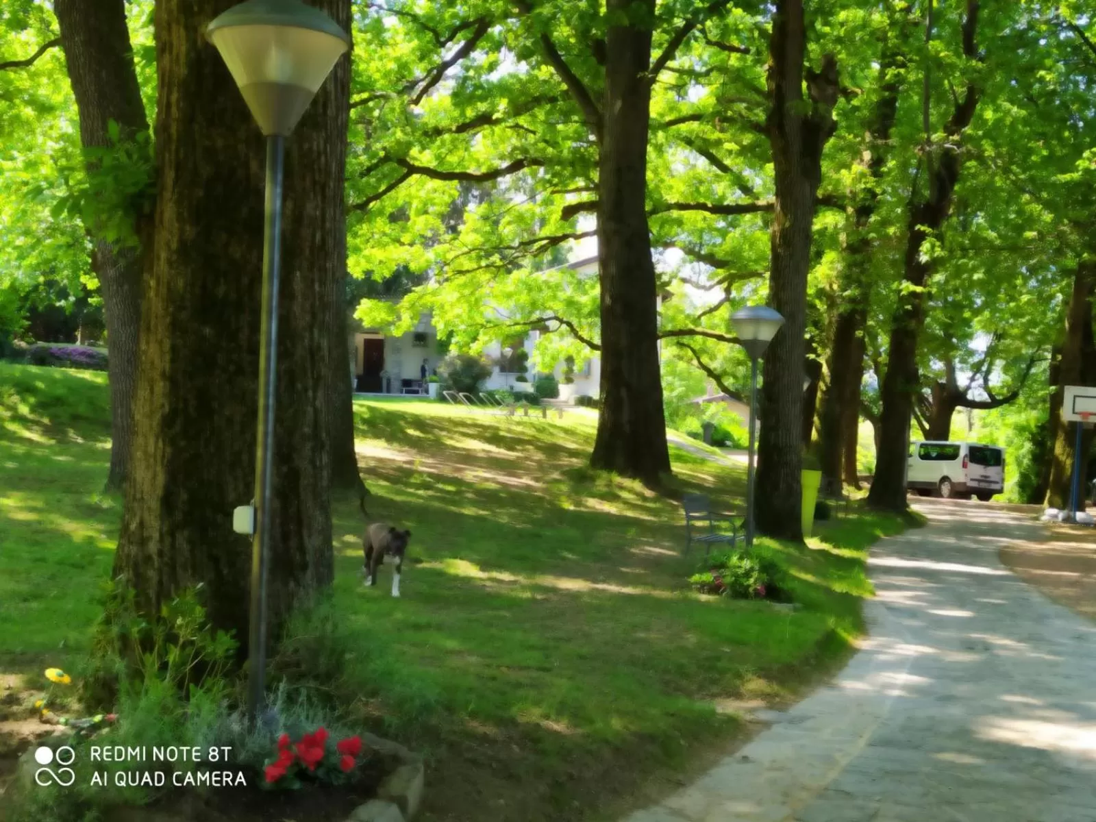 Garden view in "La Selvetta" bed and breakfast