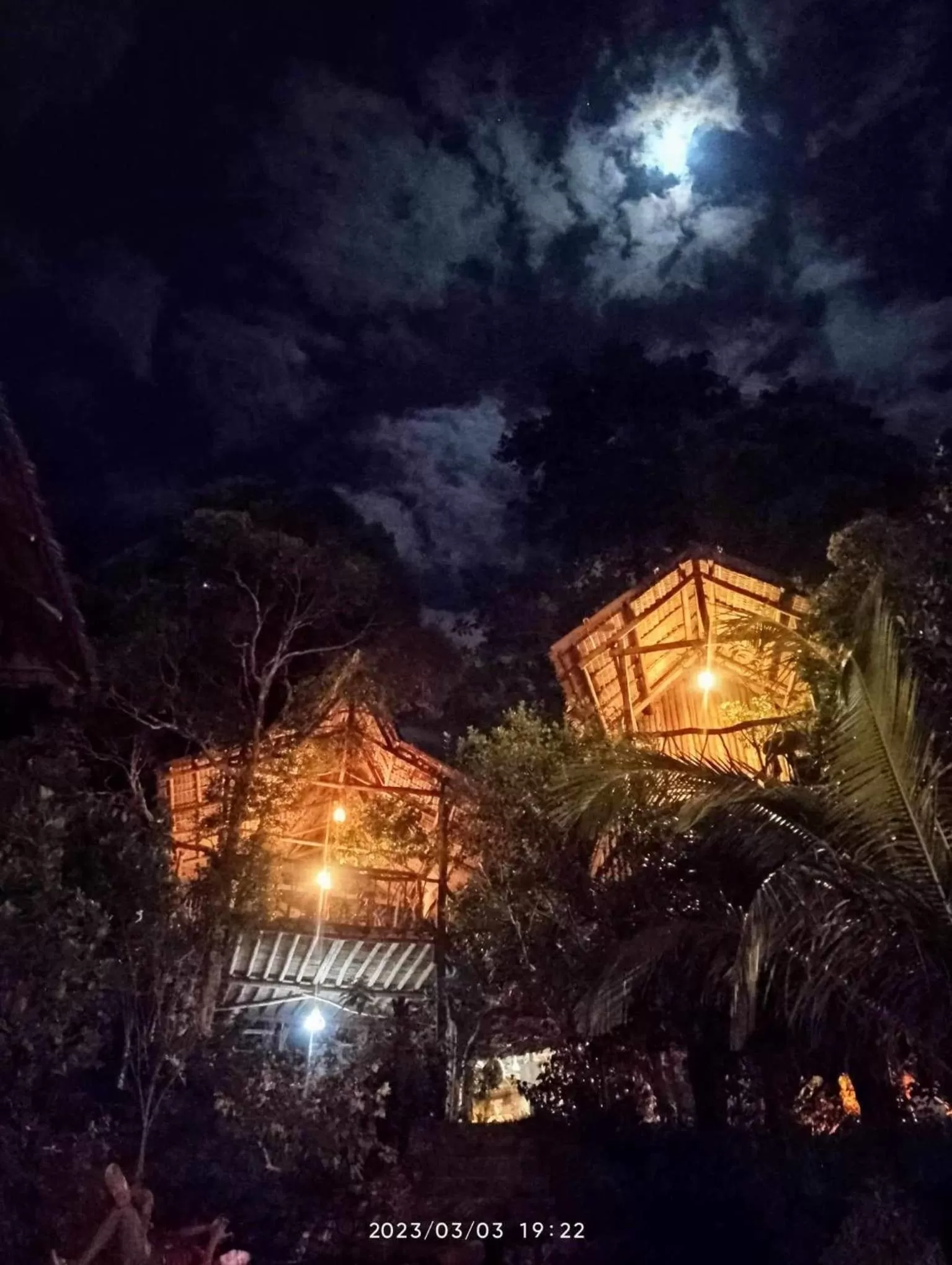Sanctuaria Treehouses Busuanga