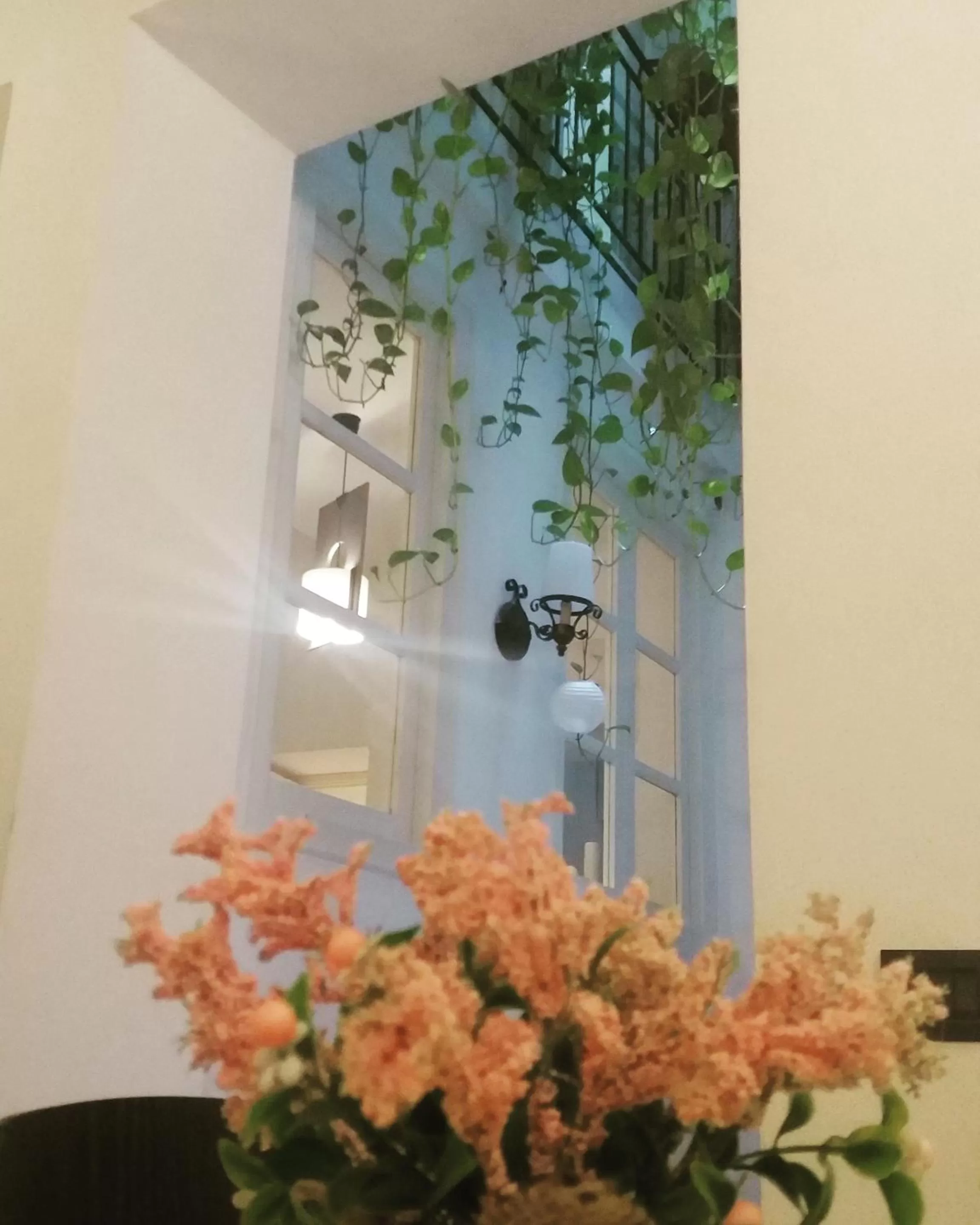 Lobby or reception in Ai Tintori