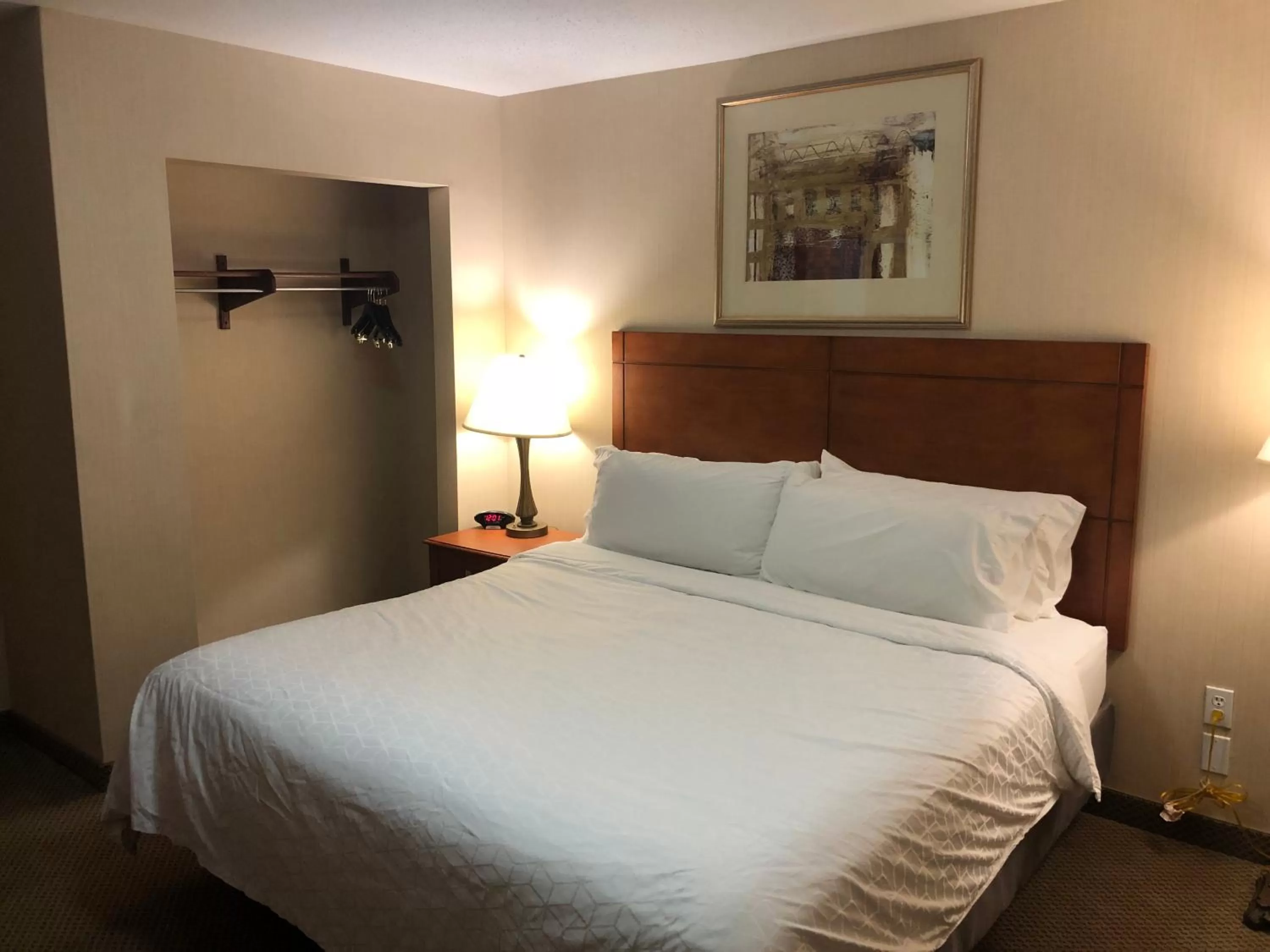 Bed in Holiday Inn Express Hotel & Suites Lansing-Dimondale by IHG
