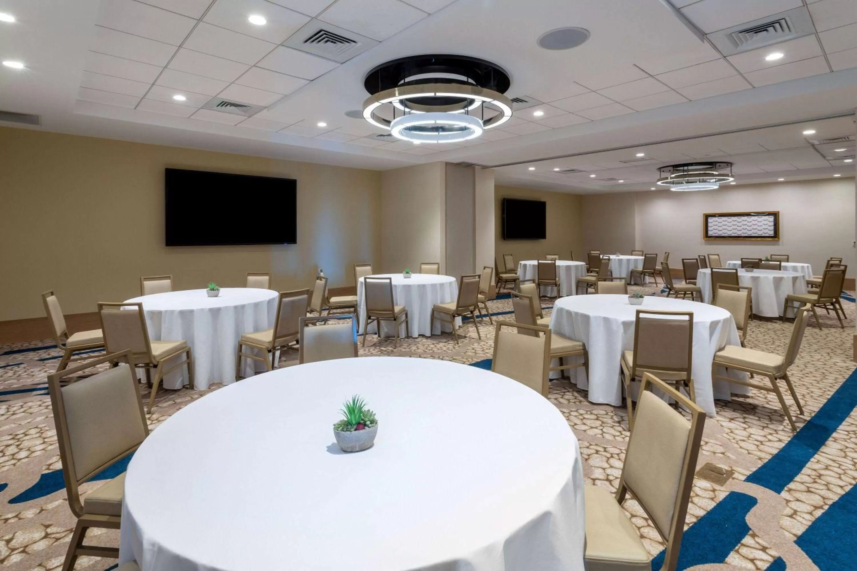 Banquet/Function facilities in Wyndham Grand Clearwater Beach