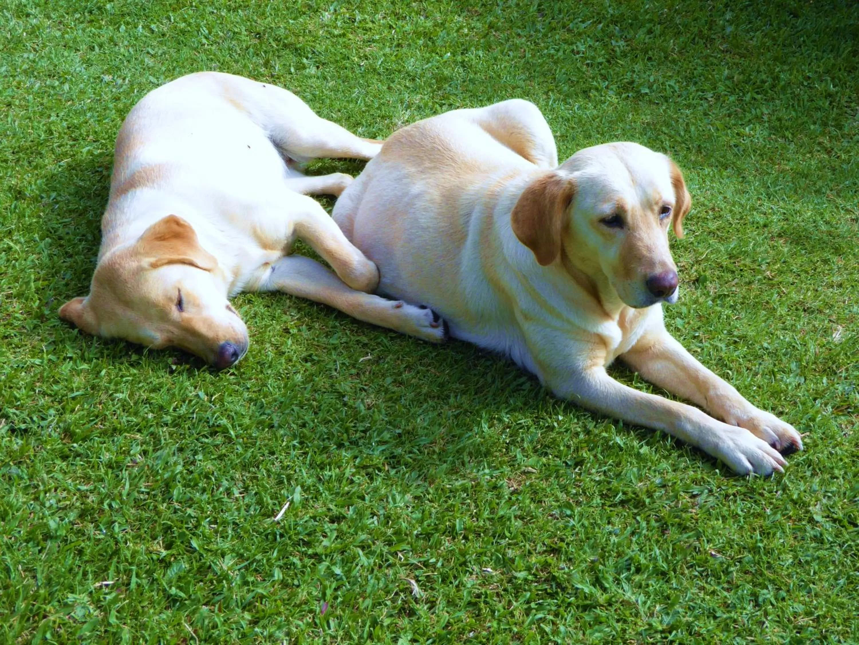 Area and facilities in Finca El Cielo