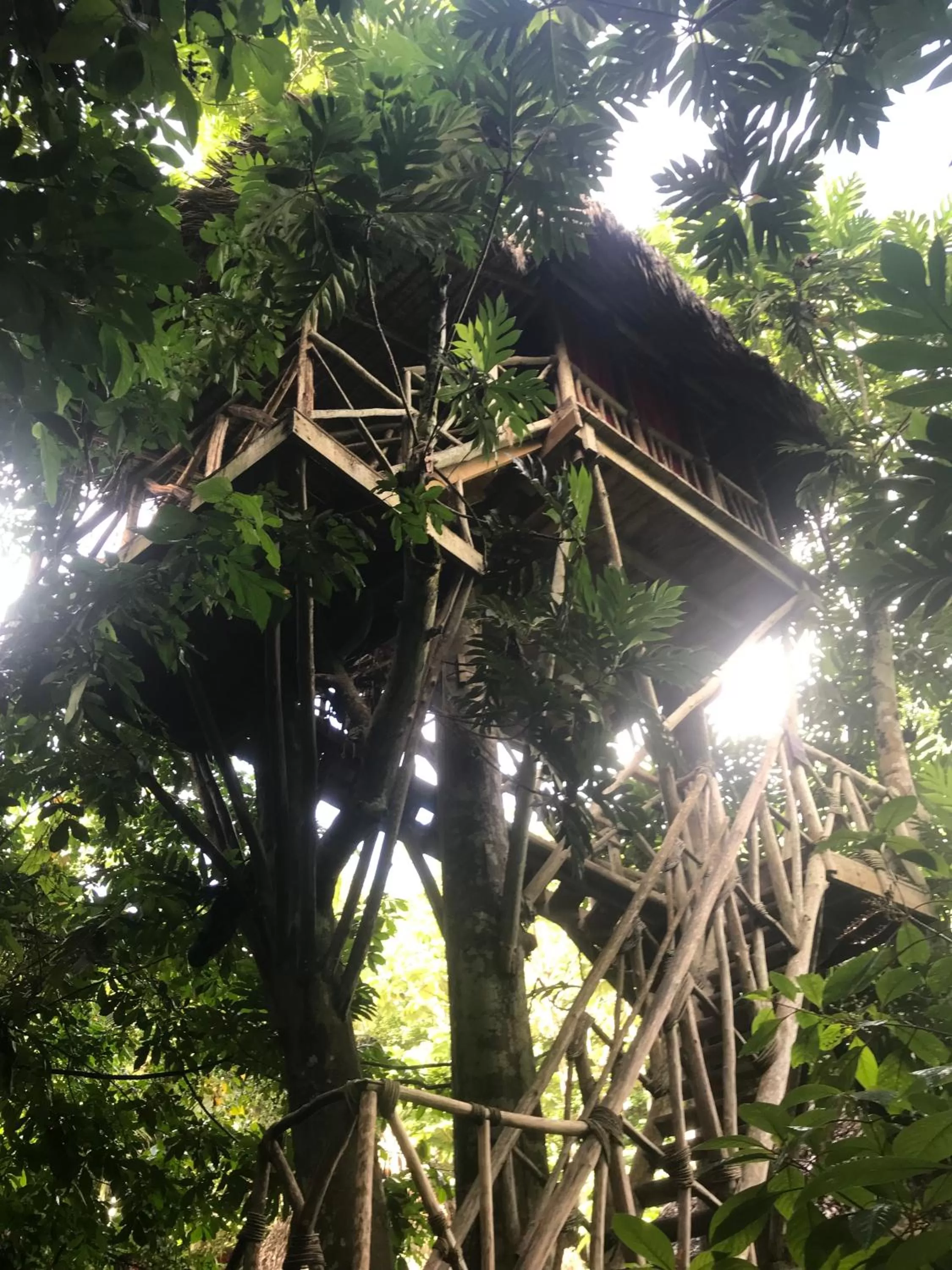 Natural landscape in Dominican Tree House Village