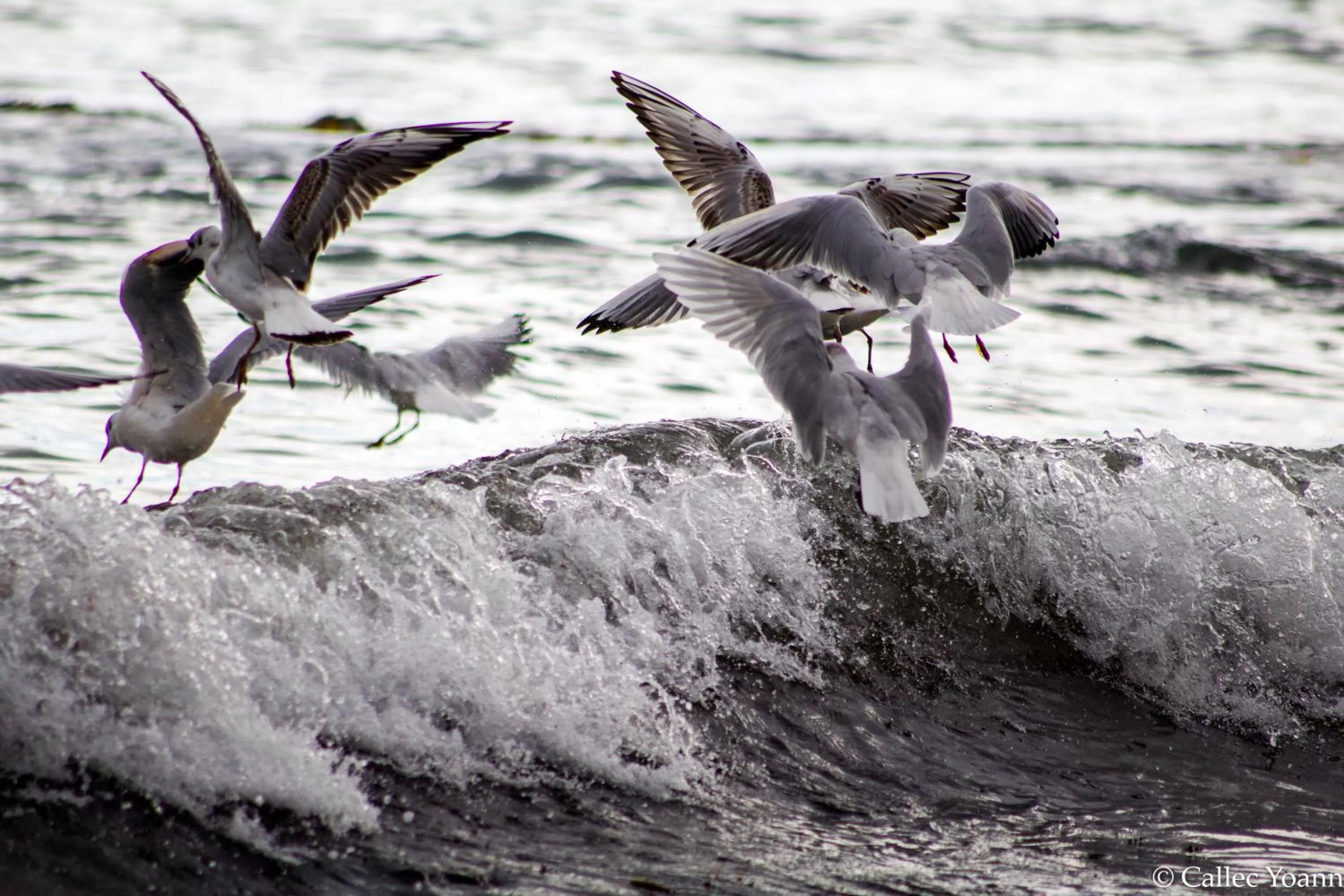 Off site in Hotel de la Gare Brest