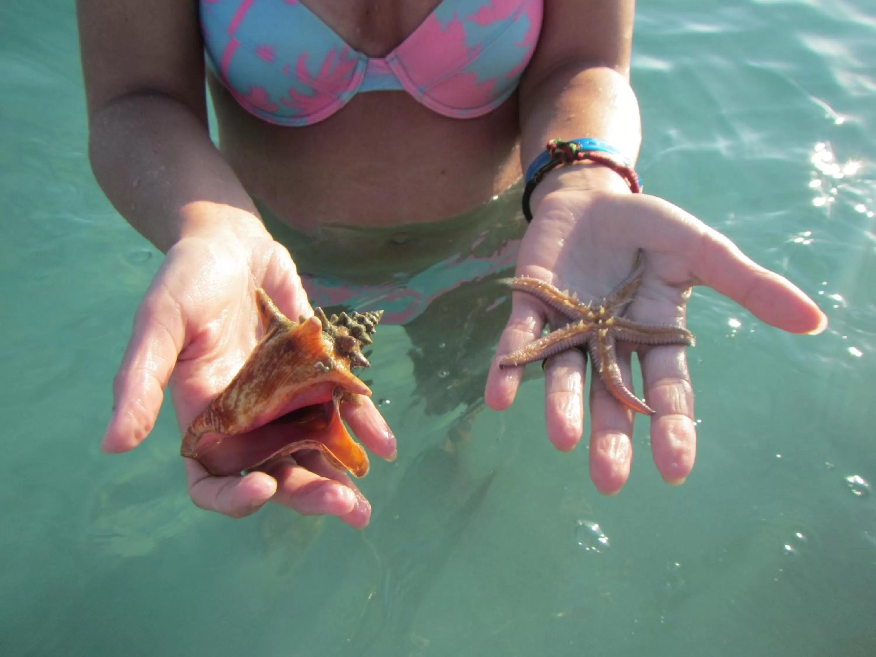 Beachcomber Club Resort