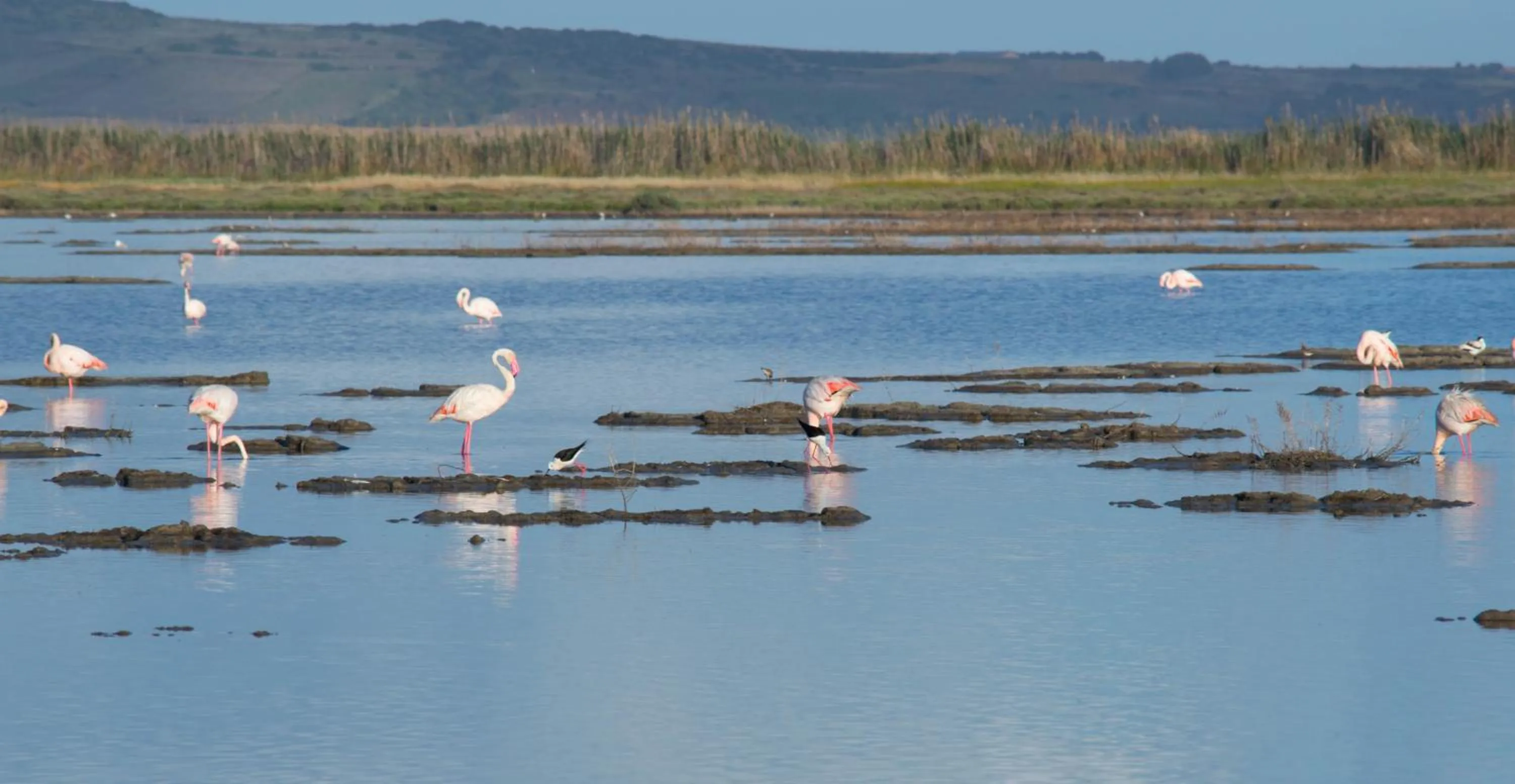 Nearby landmark in Hotel Villa Canu