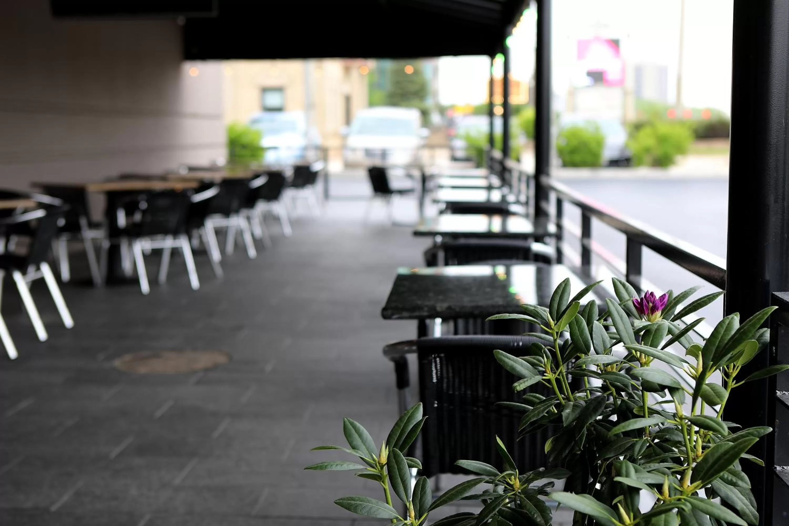 Restaurant/places to eat in Holiday Inn Chicago/Oak Brook by IHG