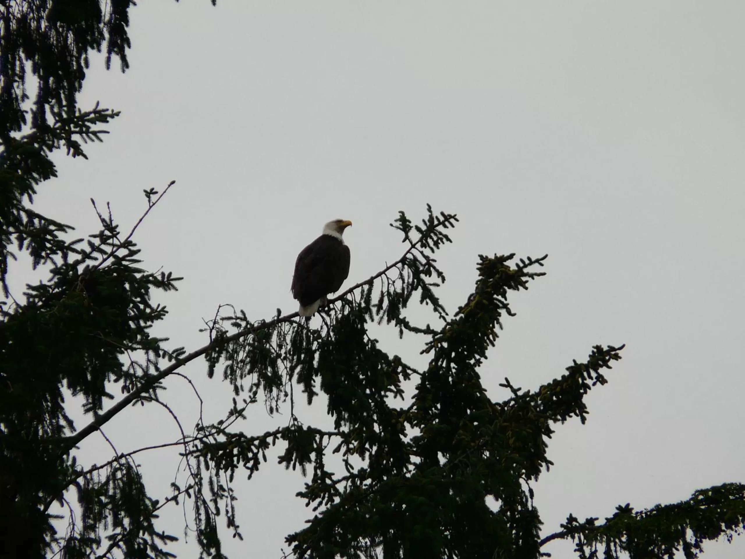 View (from property/room) in Sheltered Nook On Tillamook Bay