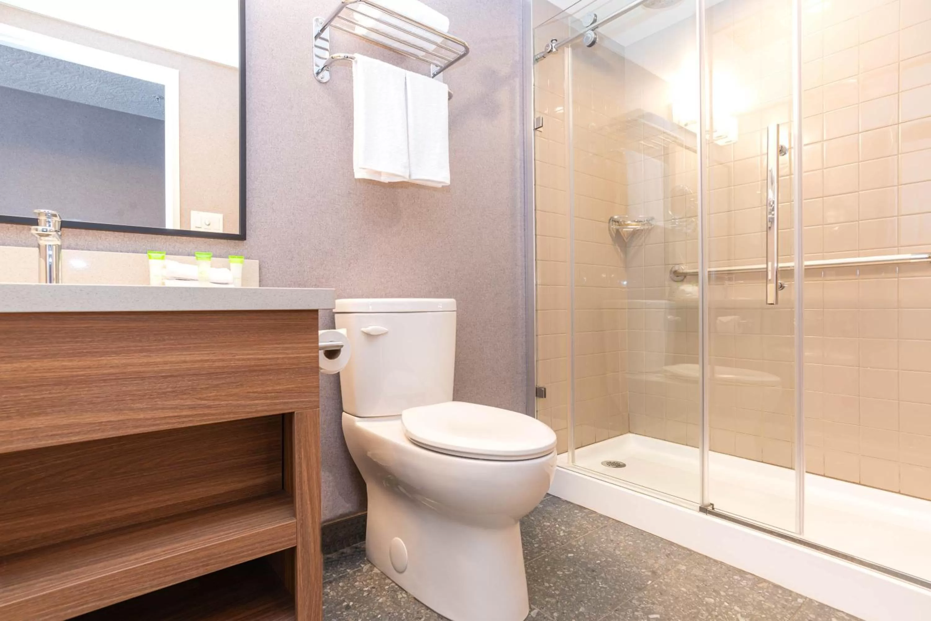 Bathroom in Sandman Hotel Victoria