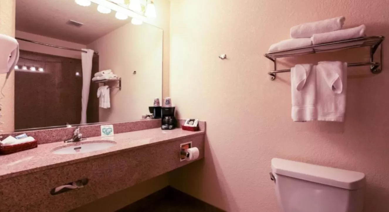 Bathroom in Mountain Inn & Suites Airport - Hendersonville