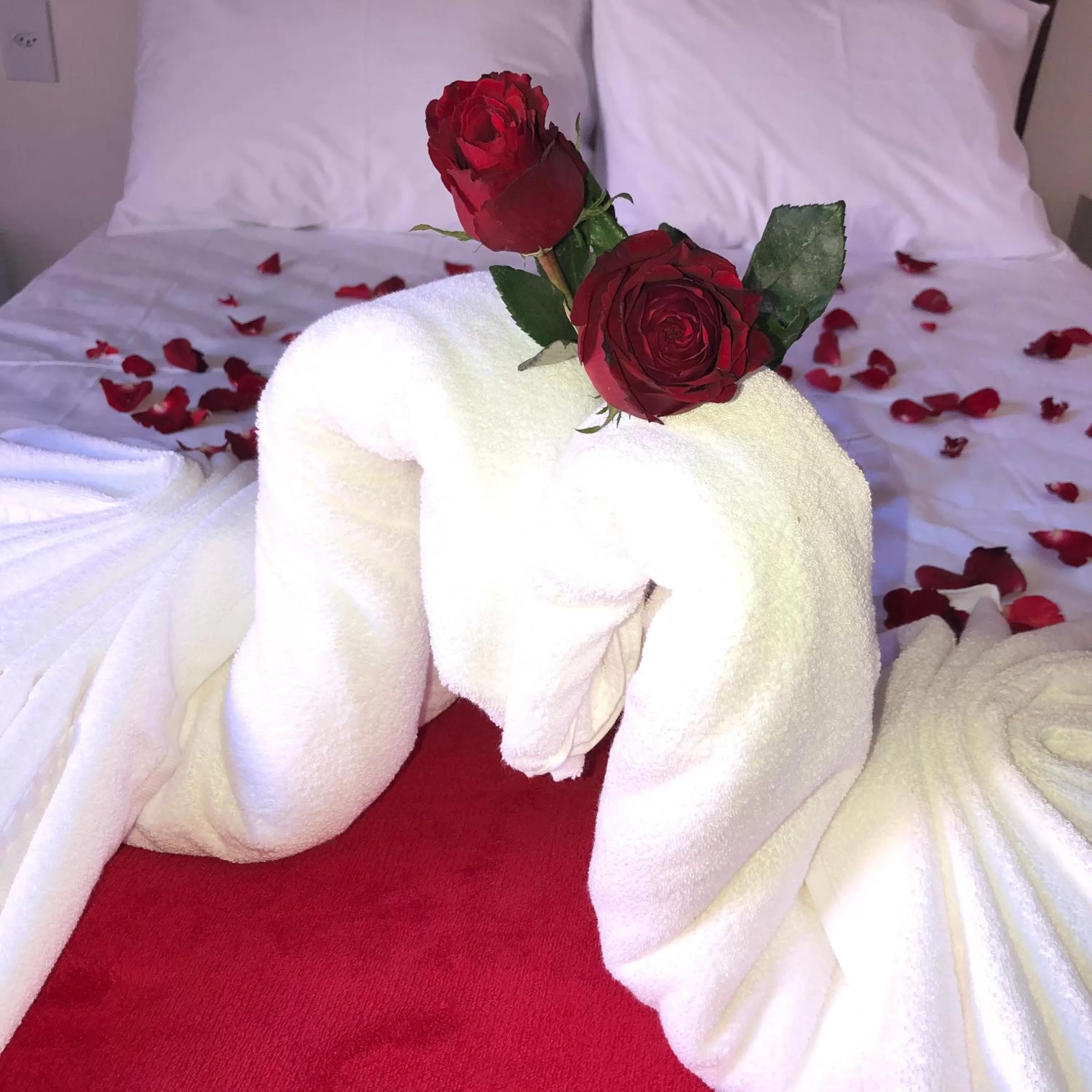 Bed in Pousada Casa Serra Alves