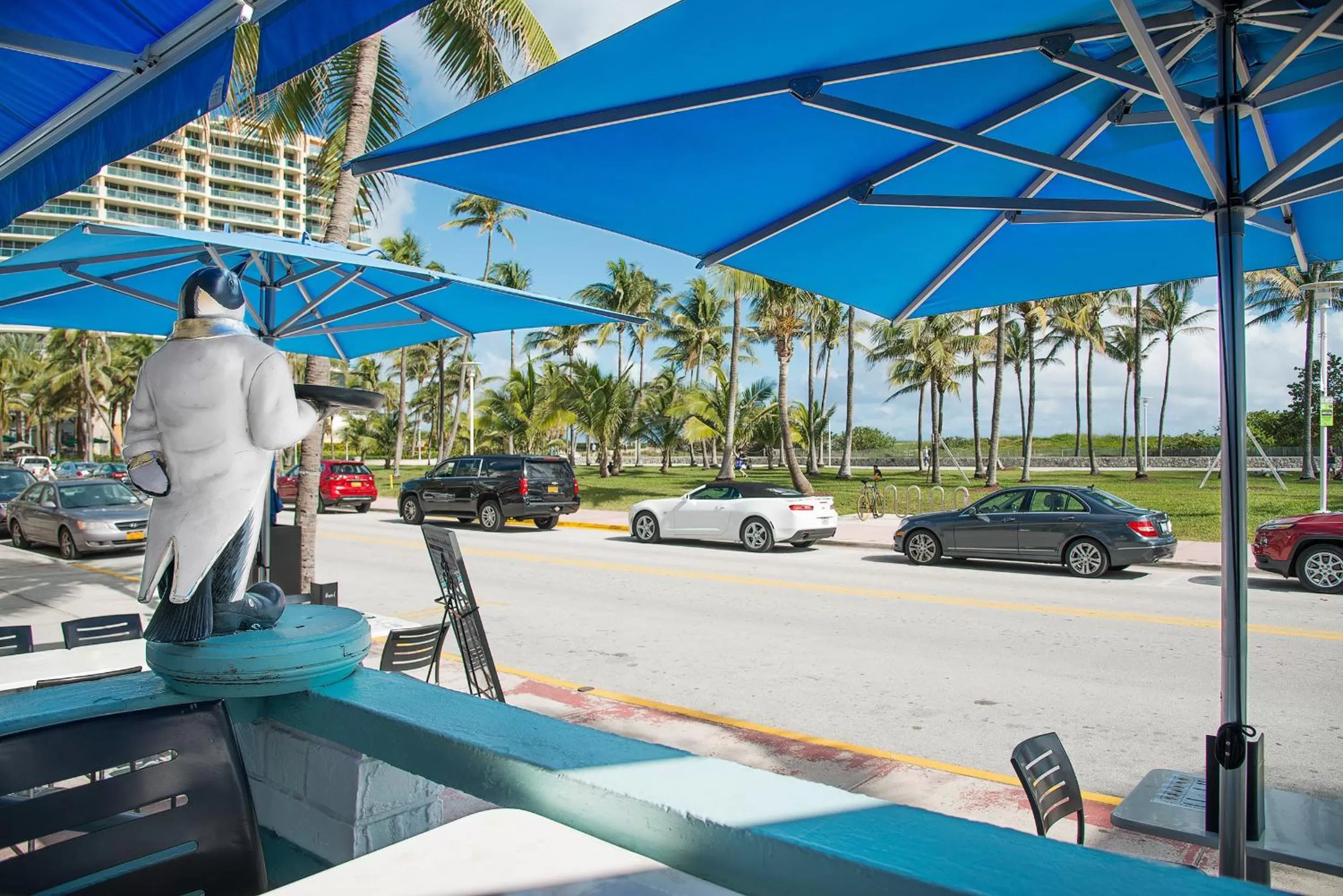 Sea view in Penguin Hotel