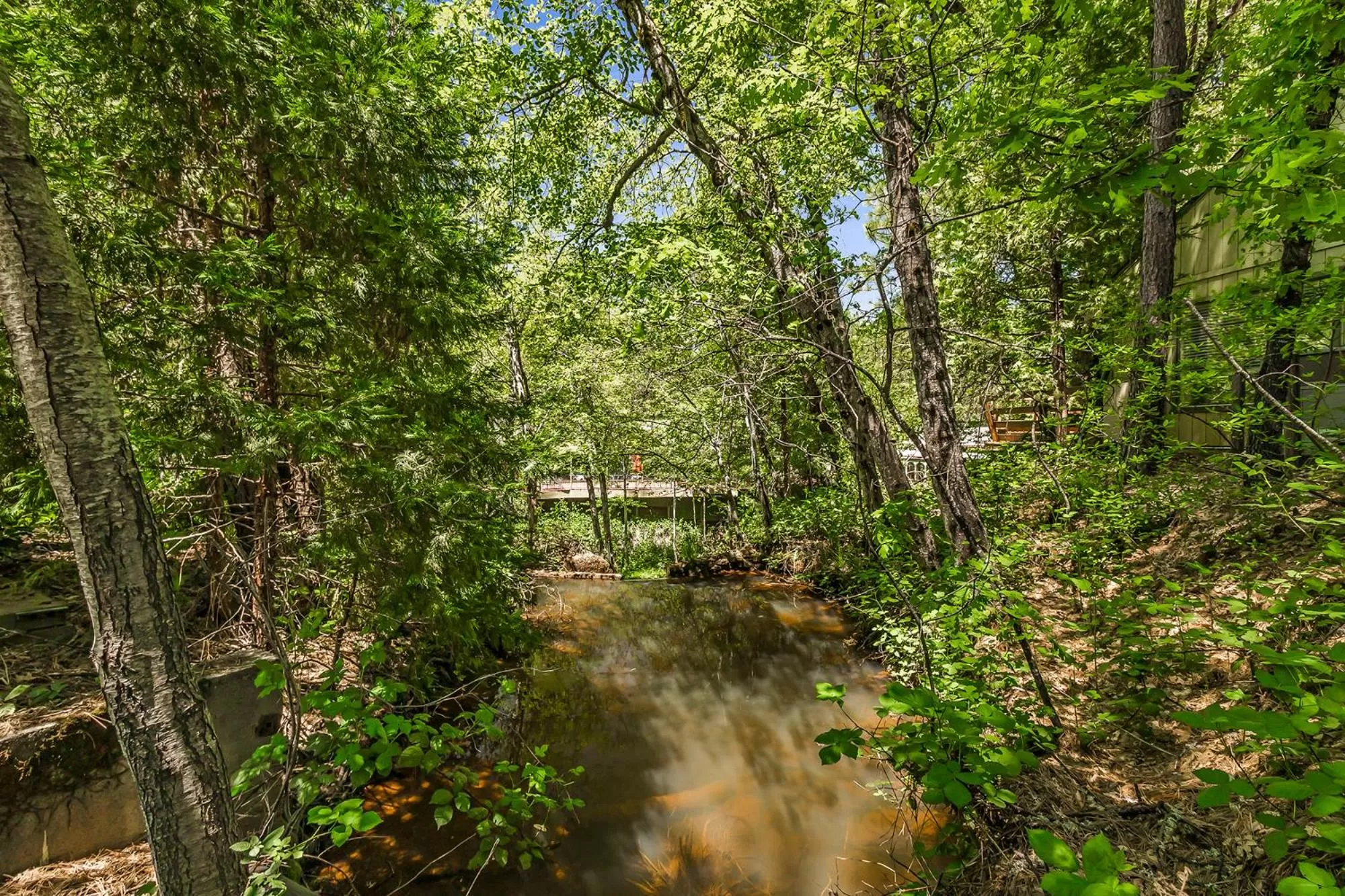 View (from property/room) in Northern Queen Inn