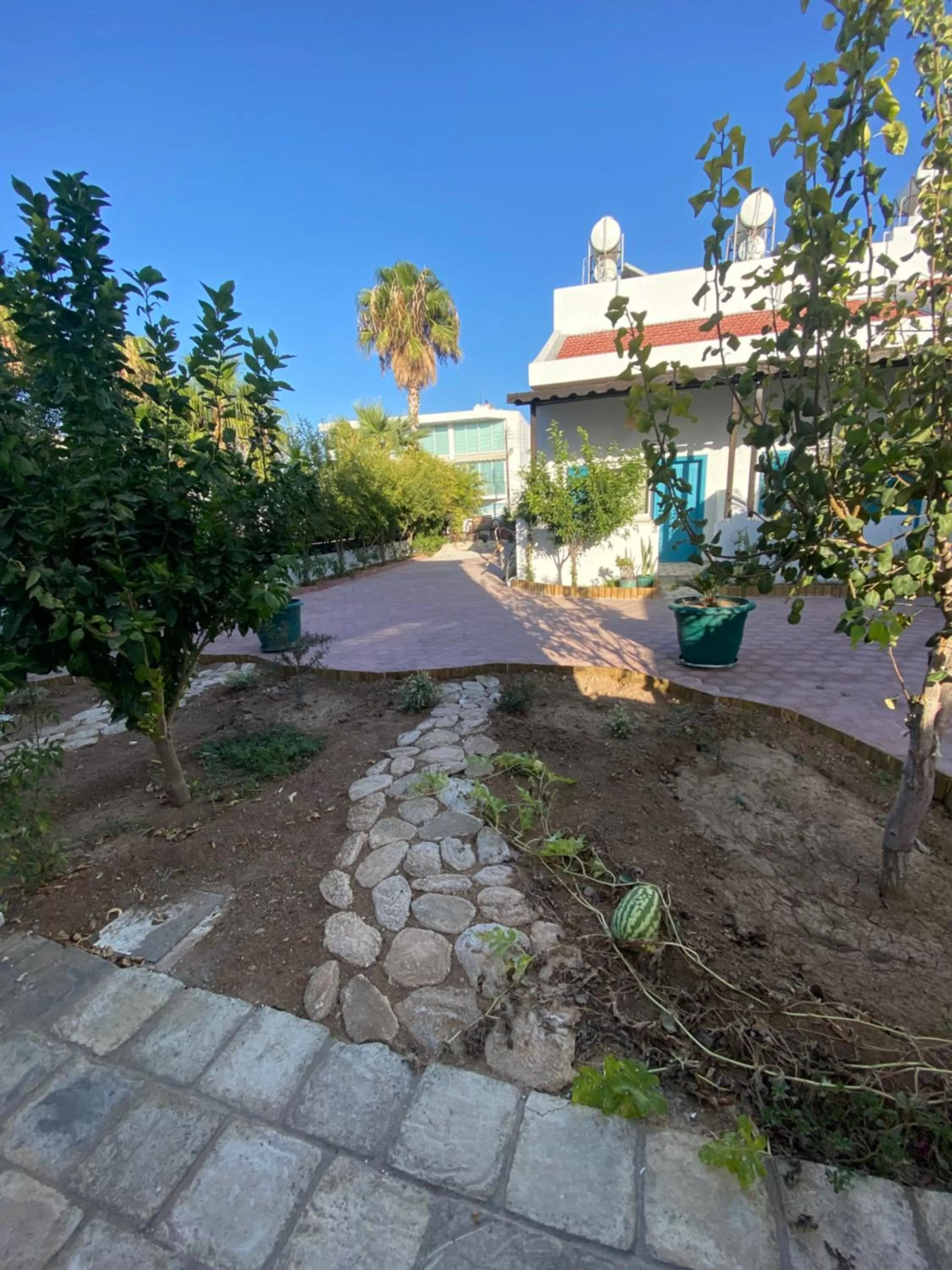 Property building in Sunside Inn Hotel