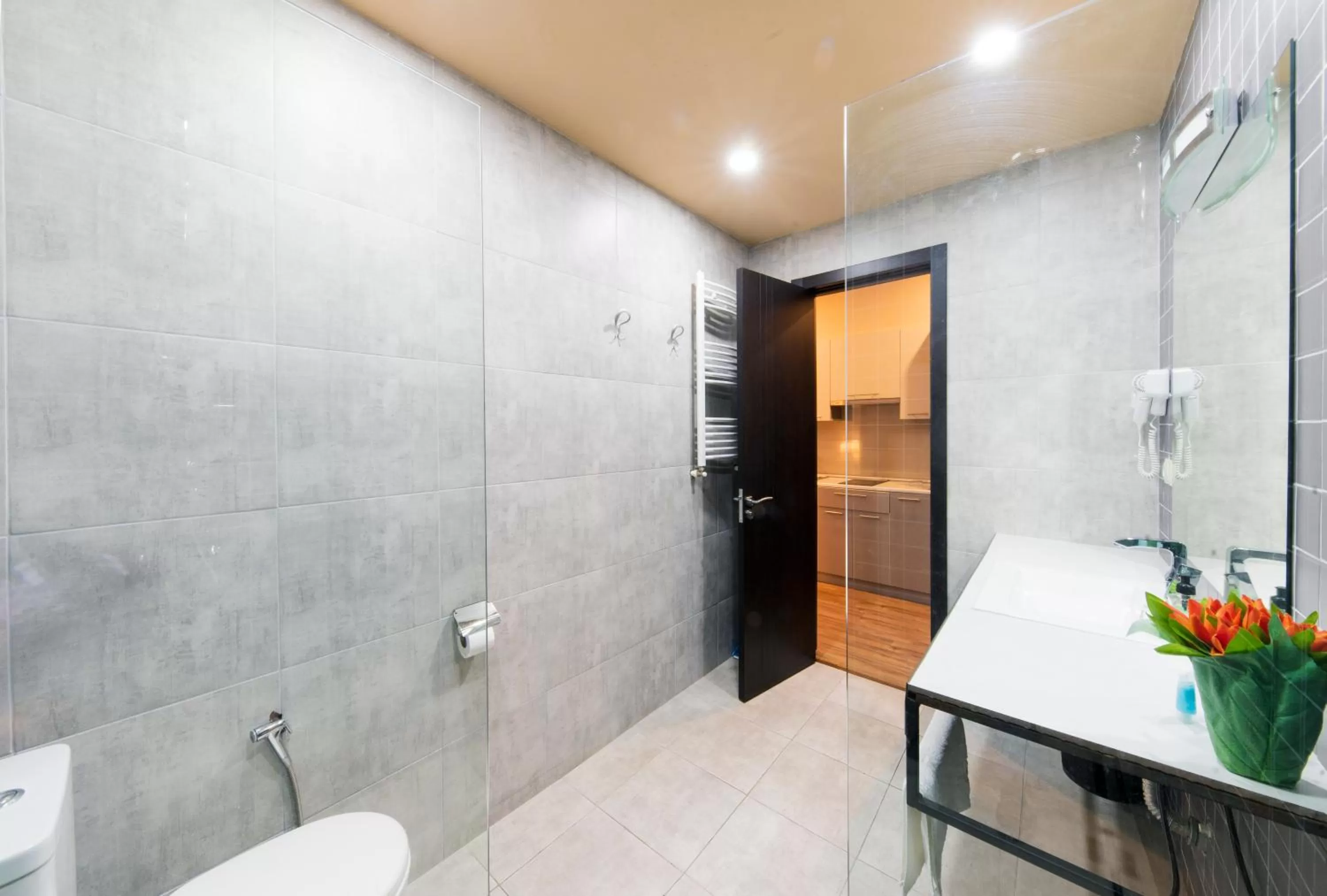 Shower in Sani Apart Hotel