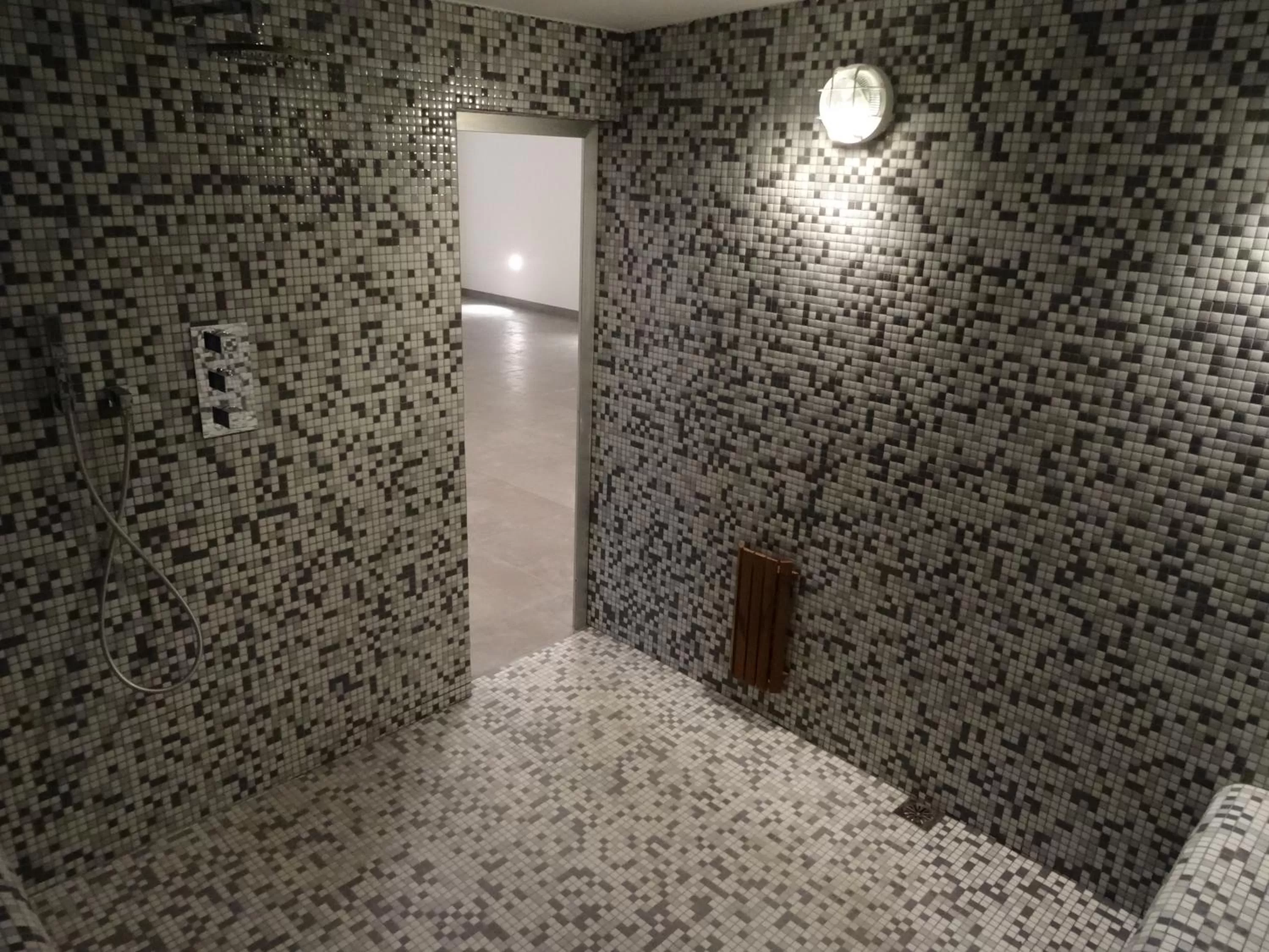 Sauna in Hotel Spa Odeón