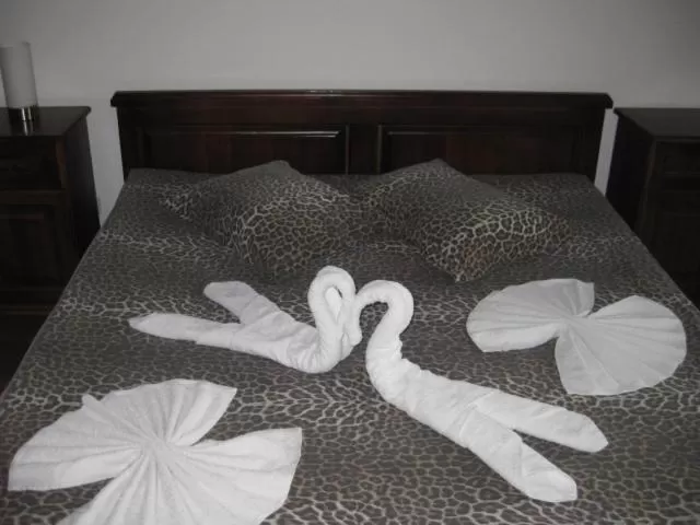 Bed in Guesthouse Hitar Petar