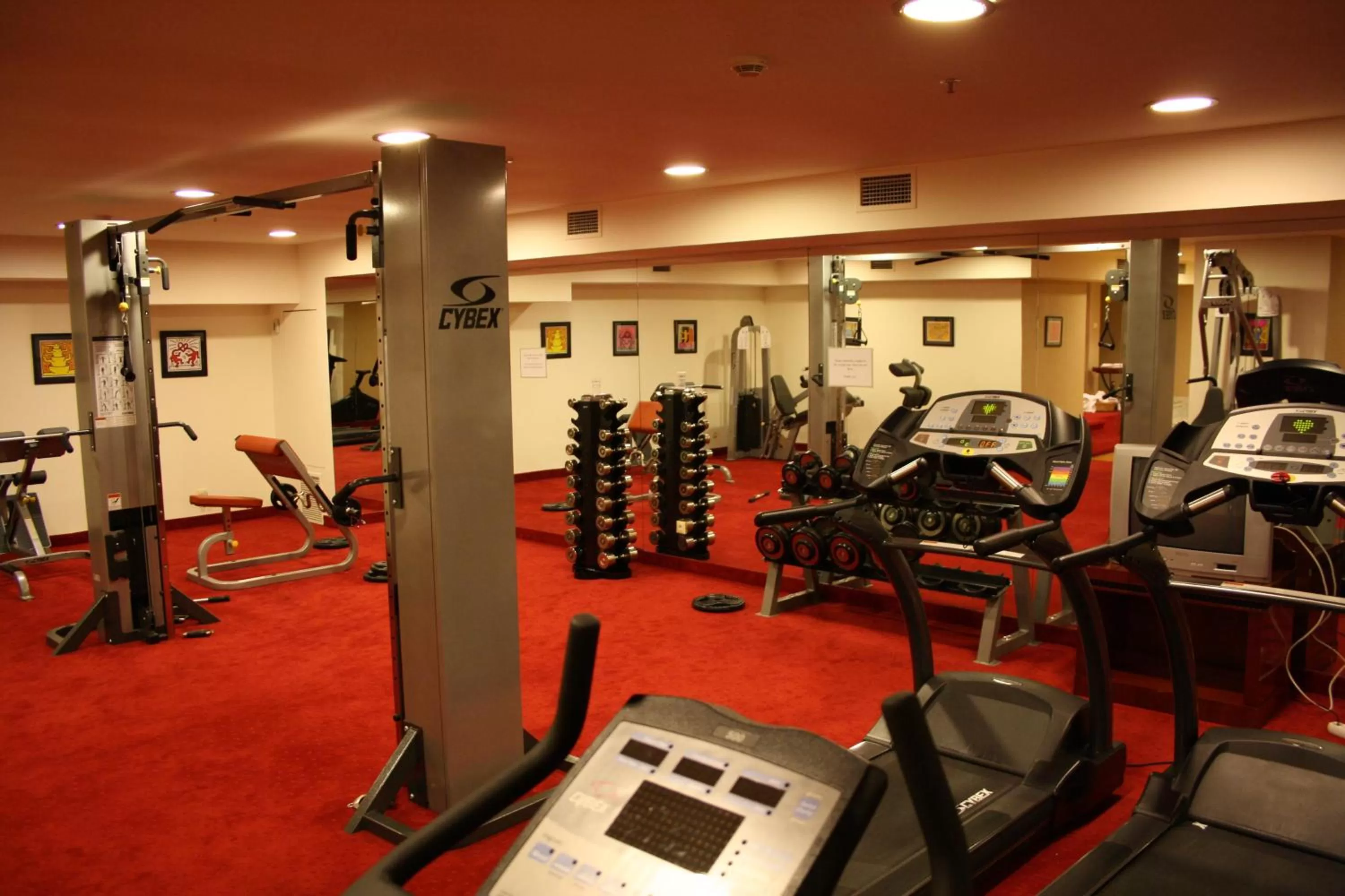 Fitness centre/facilities in Piraeus Theoxenia Hotel