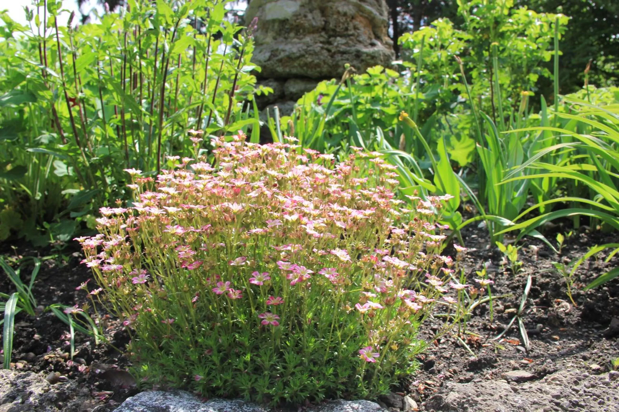 Property building in Villa Zollhaus Bed & Breakfast