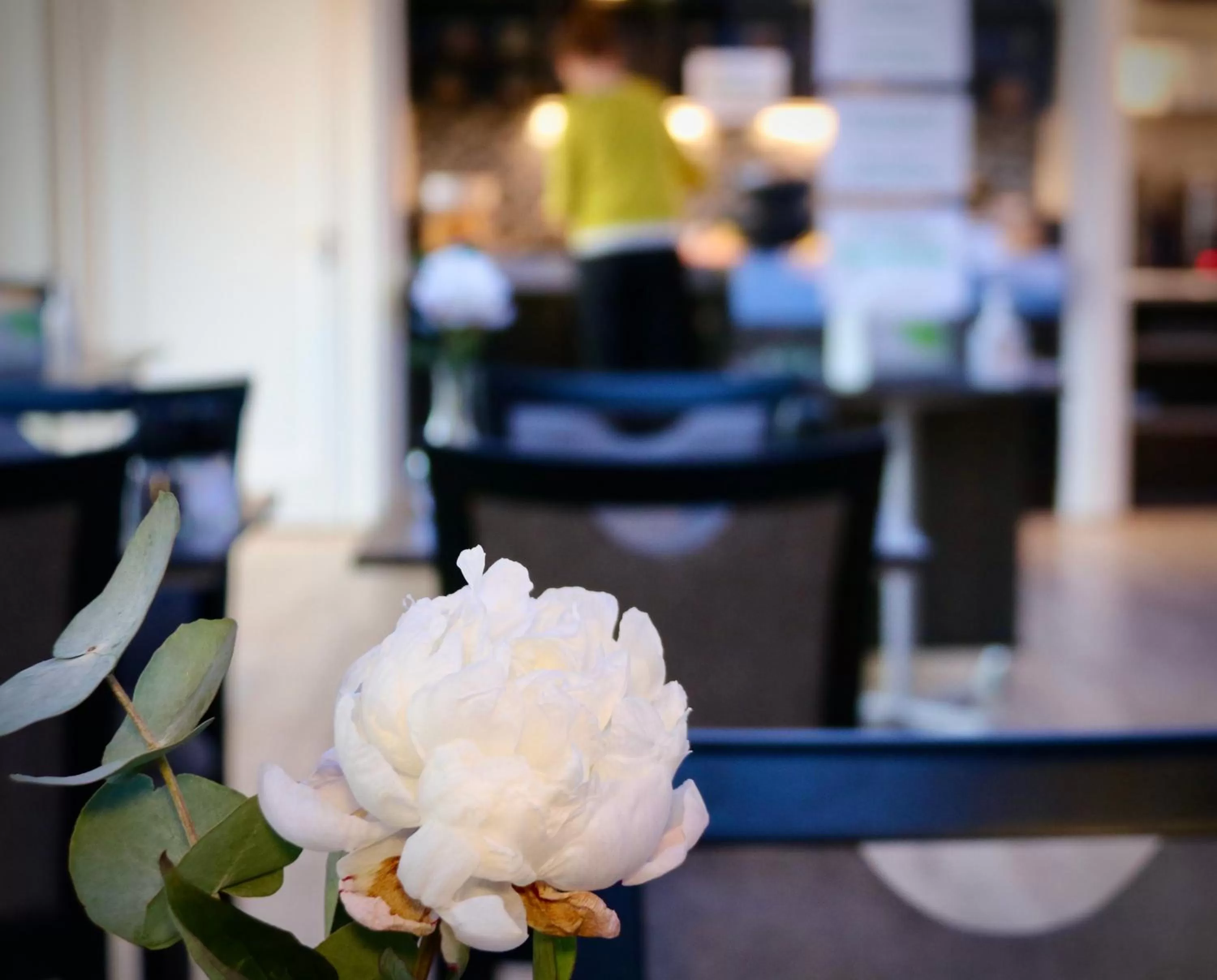 People in Taastrup Park Hotel