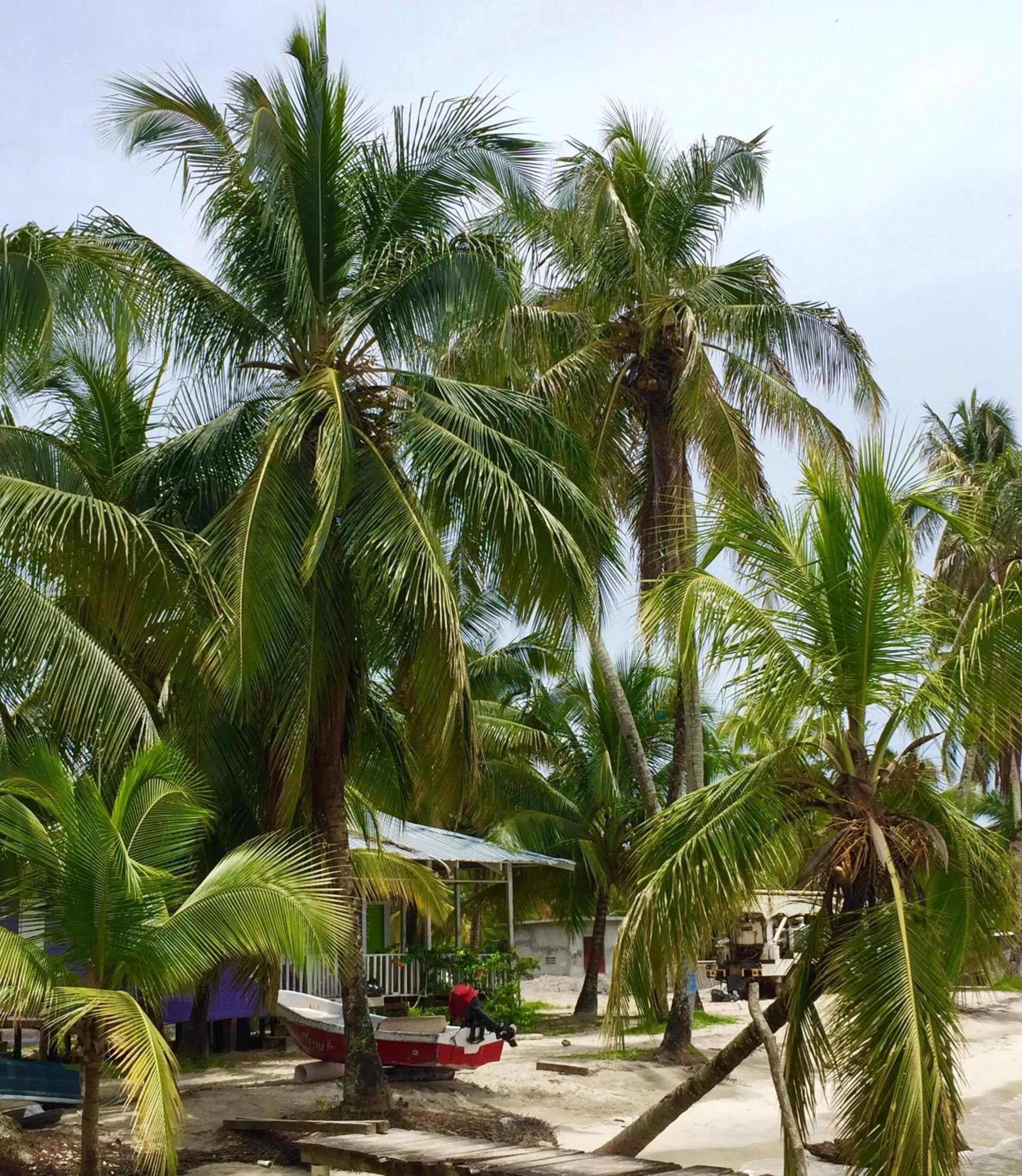 Sea view in RIVA B&B