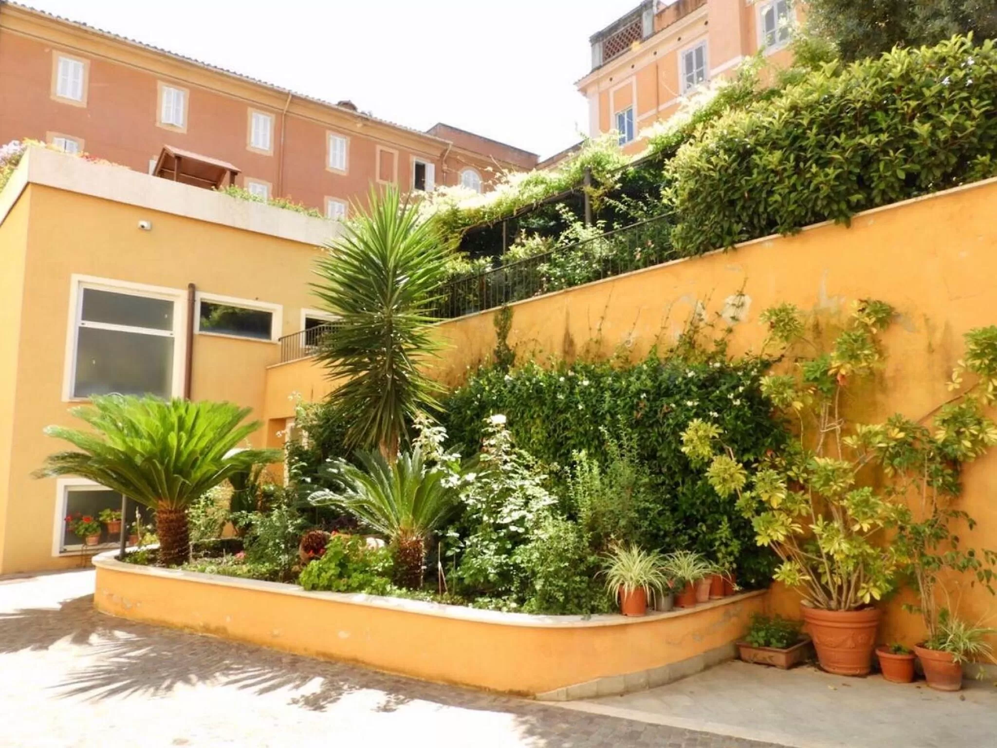 Day in Basilica Hotel