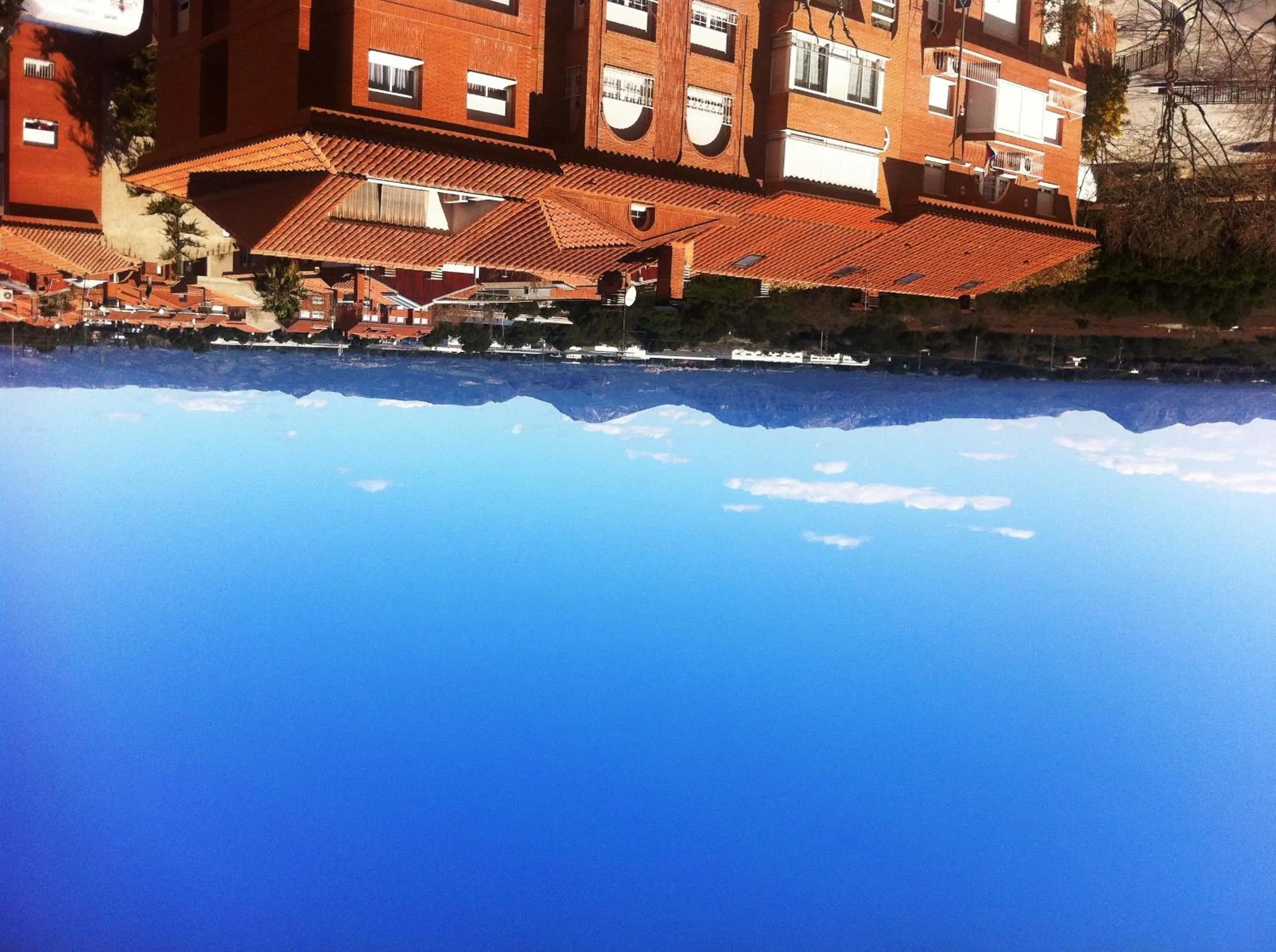 View (from property/room) in Hotel Diego's